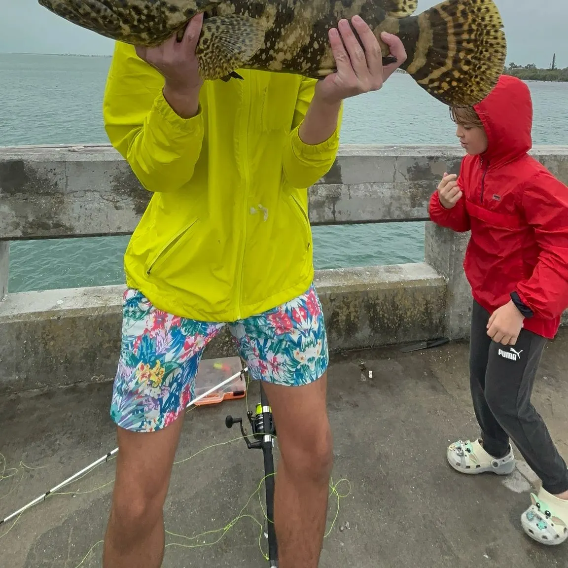 The most recent Pacific goliath grouper catches on Fishbrain