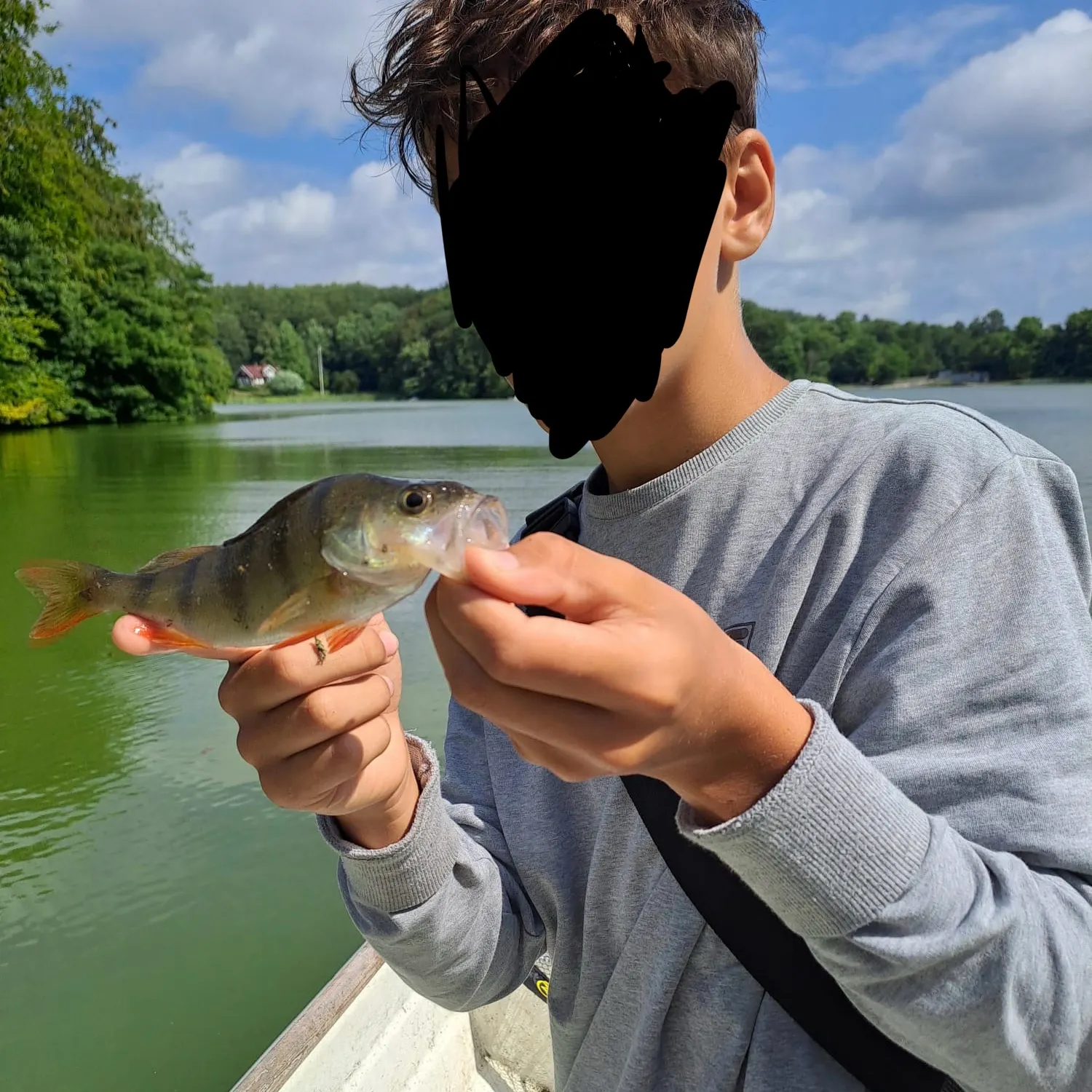 European perch caught on Fishbrain