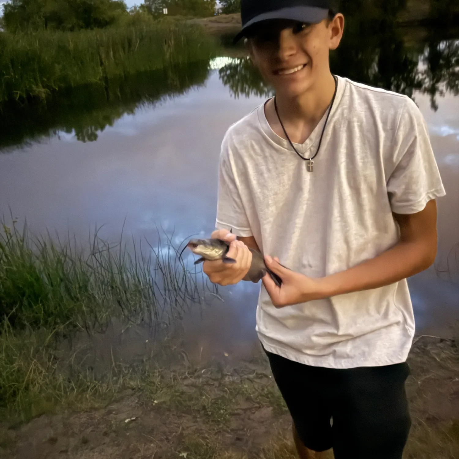 Channel catfish caught on Fishbrain