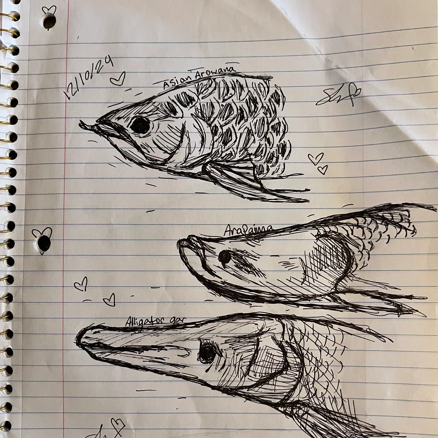 recently logged catches