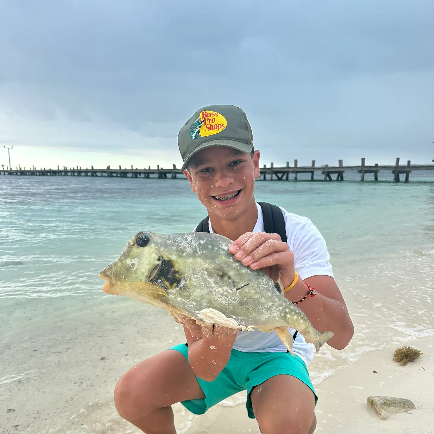 The most recent Scrawled cowfish catches on Fishbrain