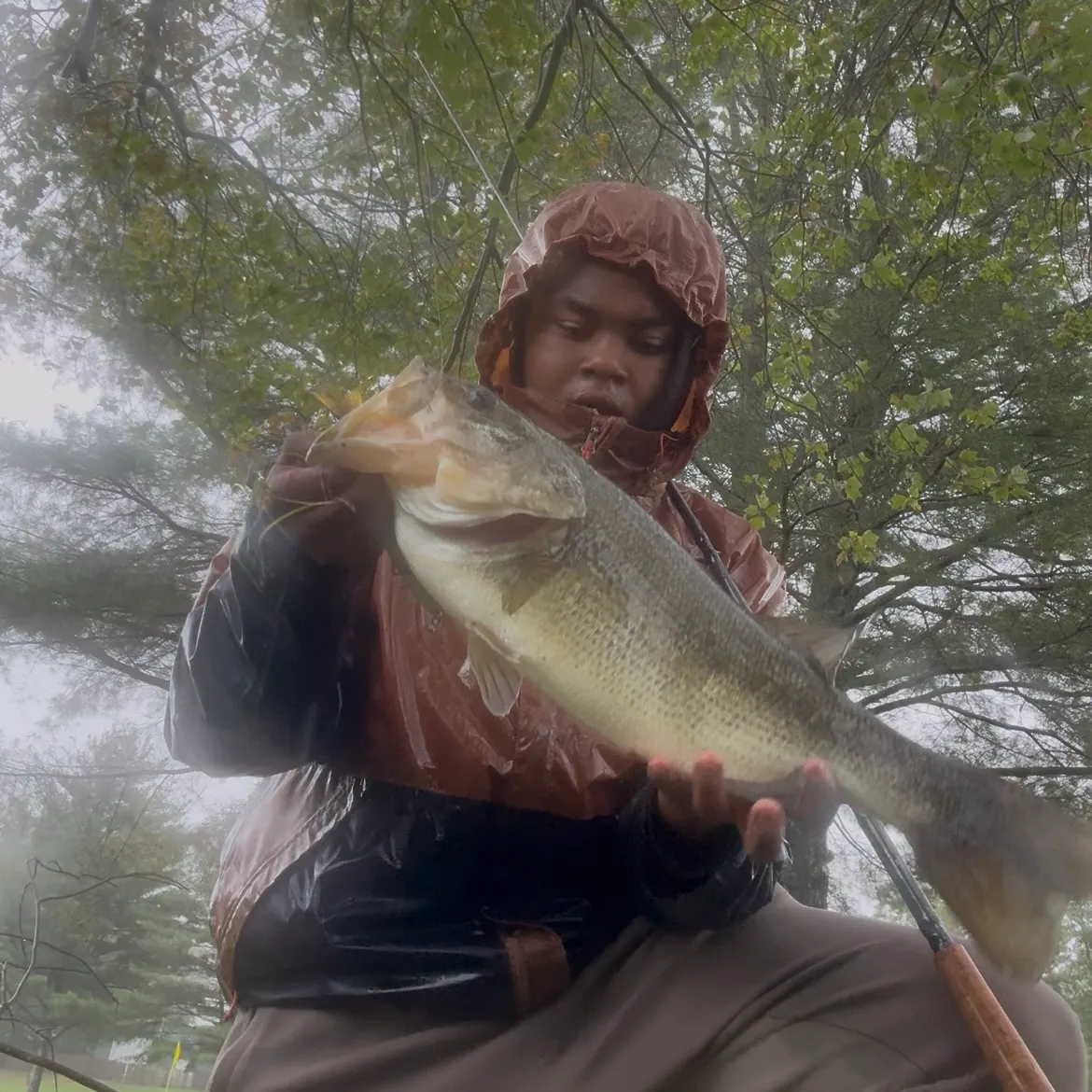 Largemouth bass caught on Fishbrain