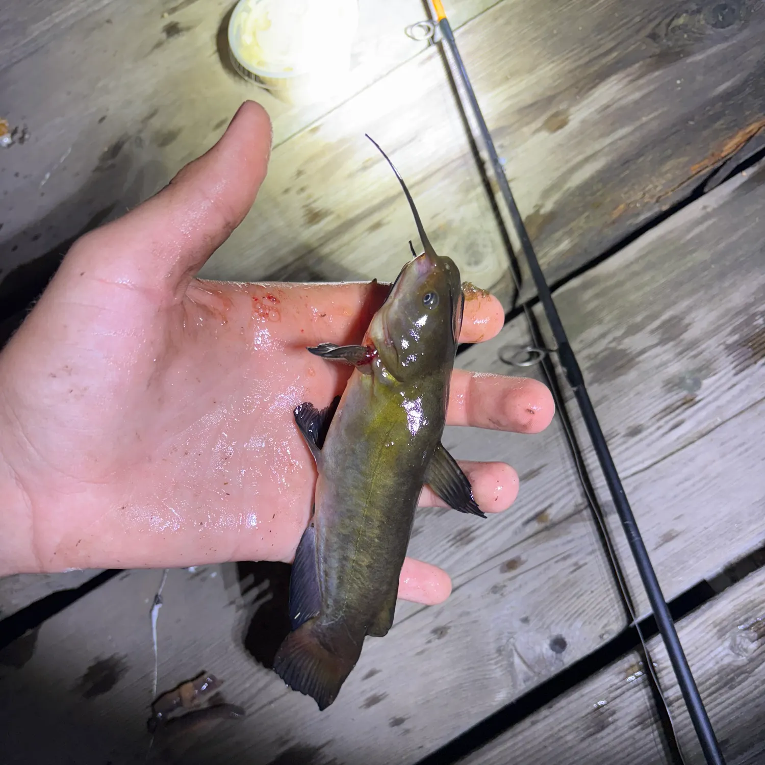 catch