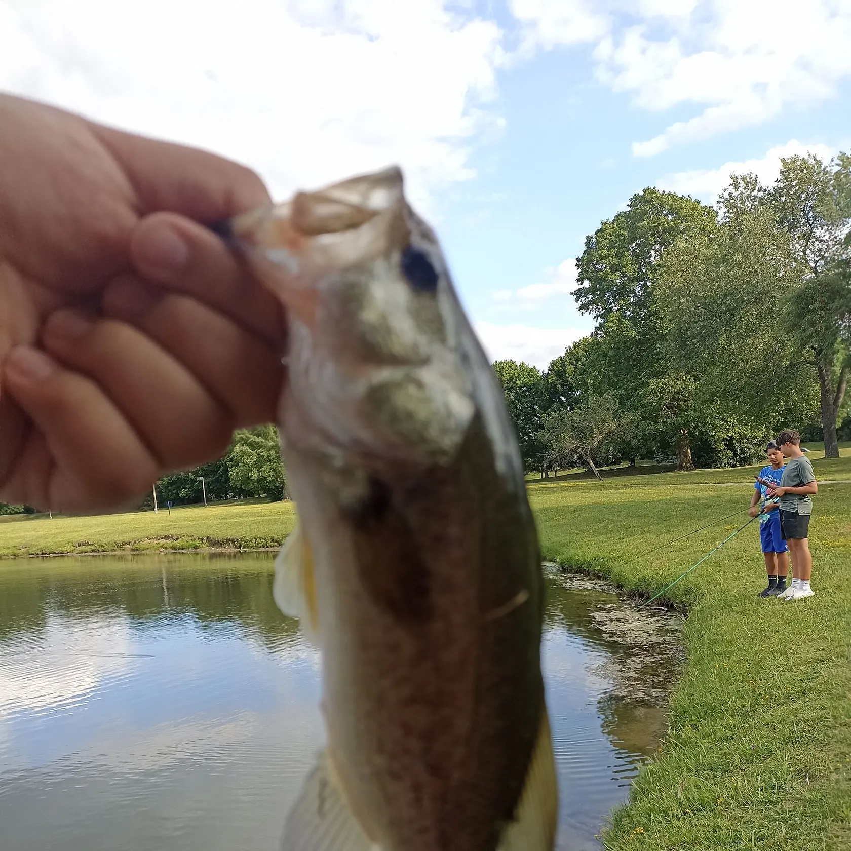 catch