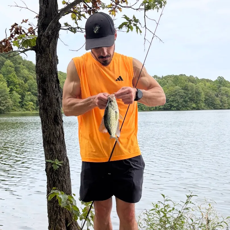 Black crappie caught on Fishbrain