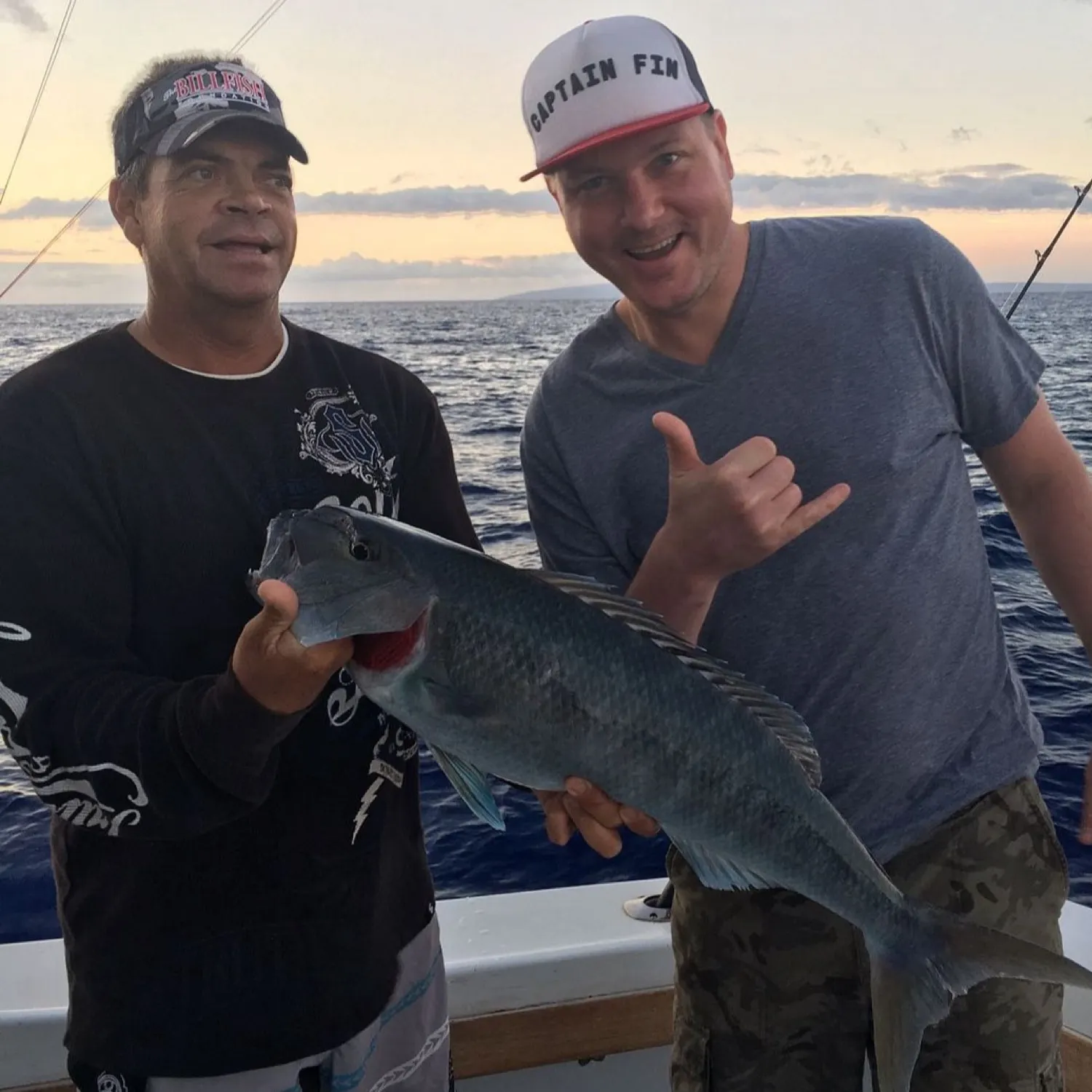The most popular recent Greasy grouper catch on Fishbrain