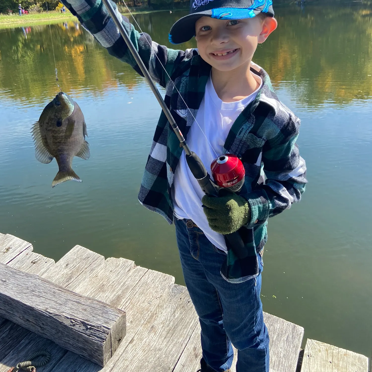 The most recent Bluegill catches on Fishbrain