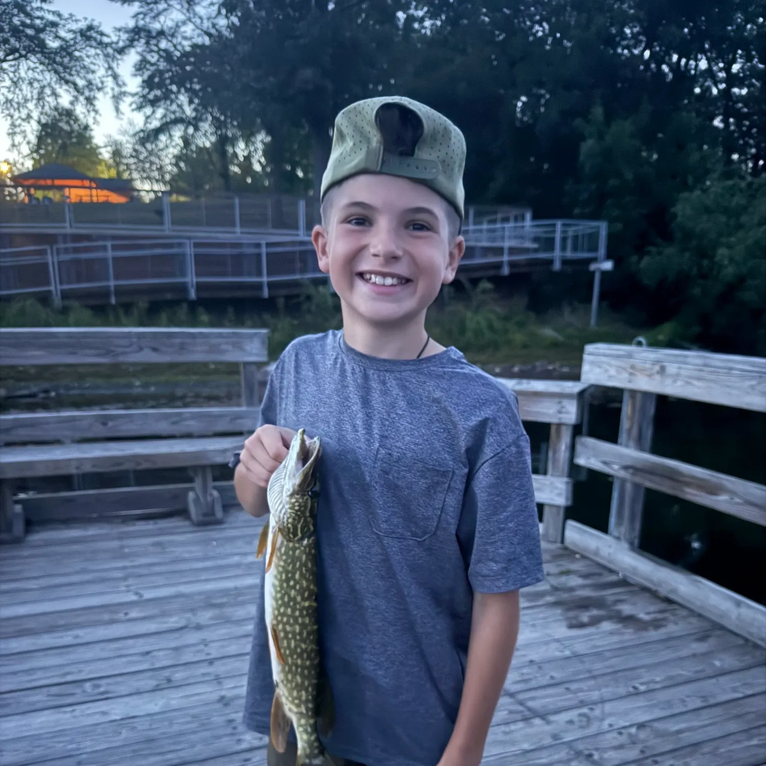 Northern pike caught on Fishbrain