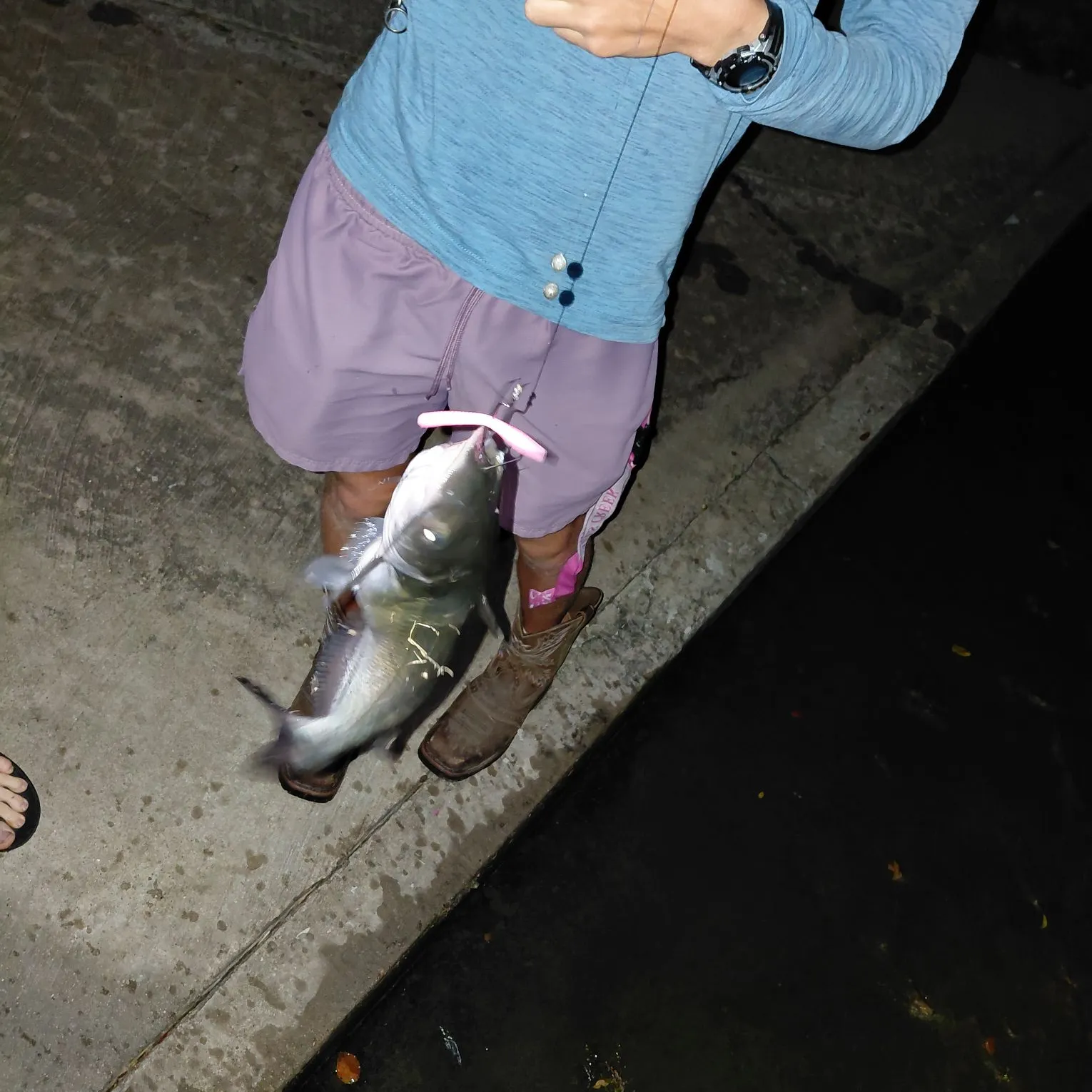 Channel catfish caught on Fishbrain