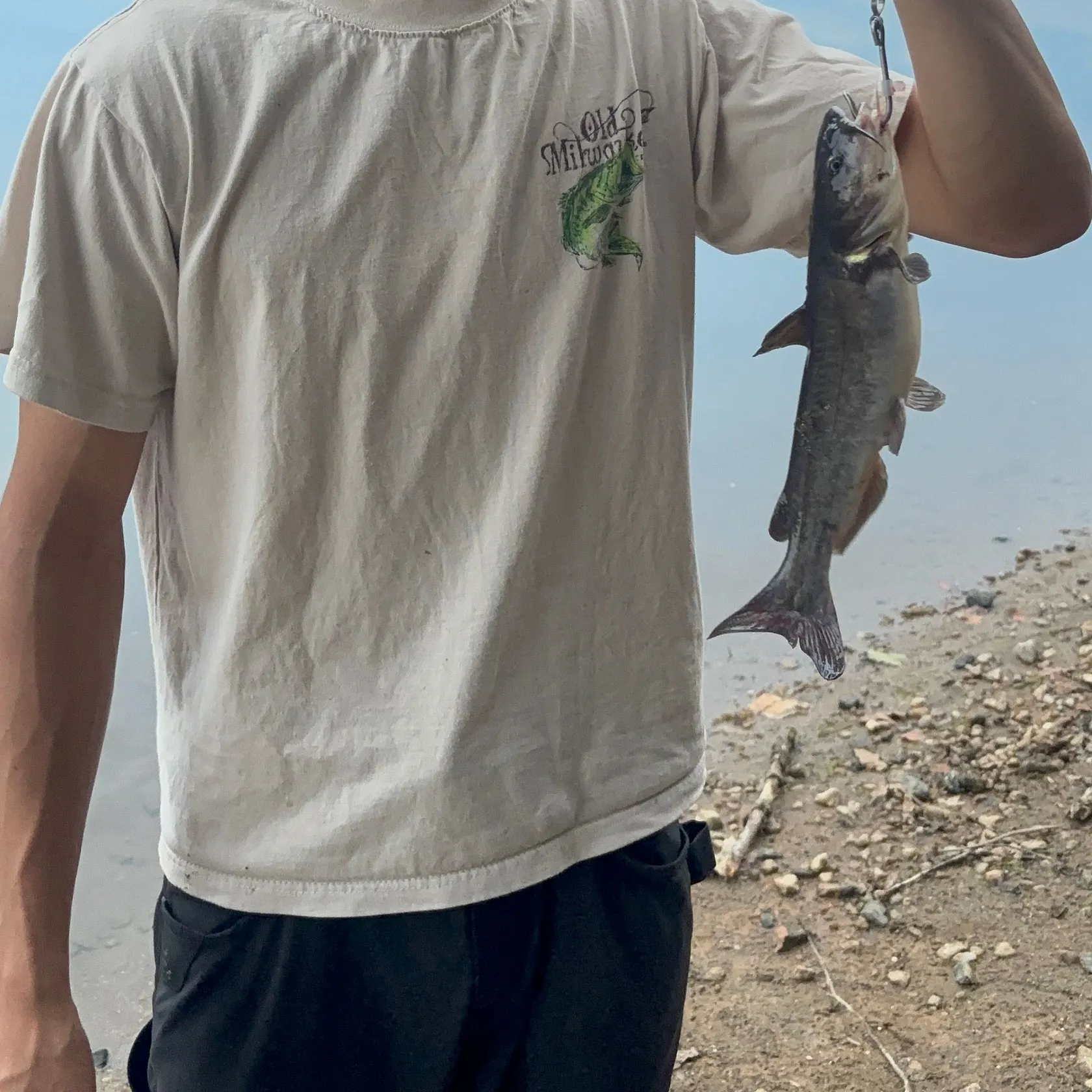 Channel catfish caught on Fishbrain