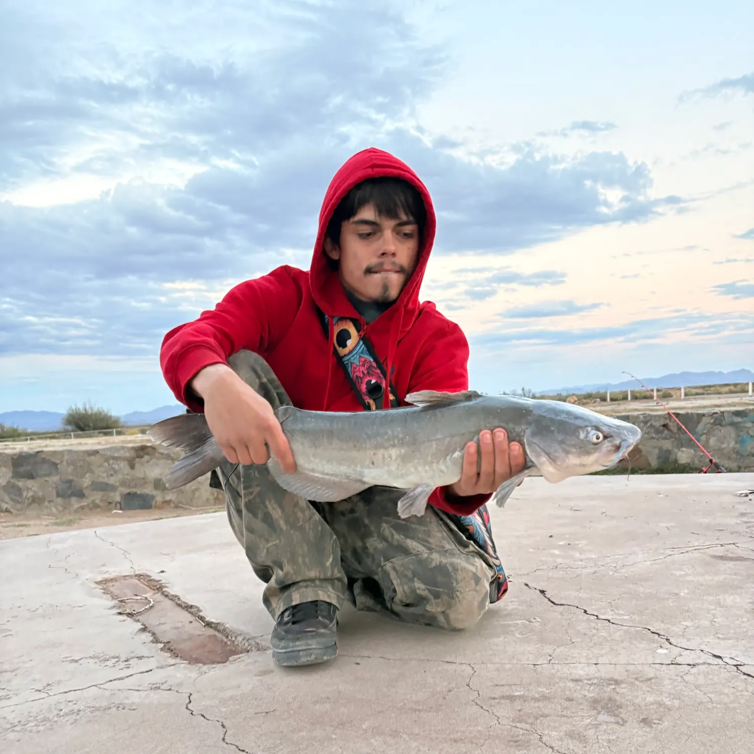 Channel catfish caught on Fishbrain