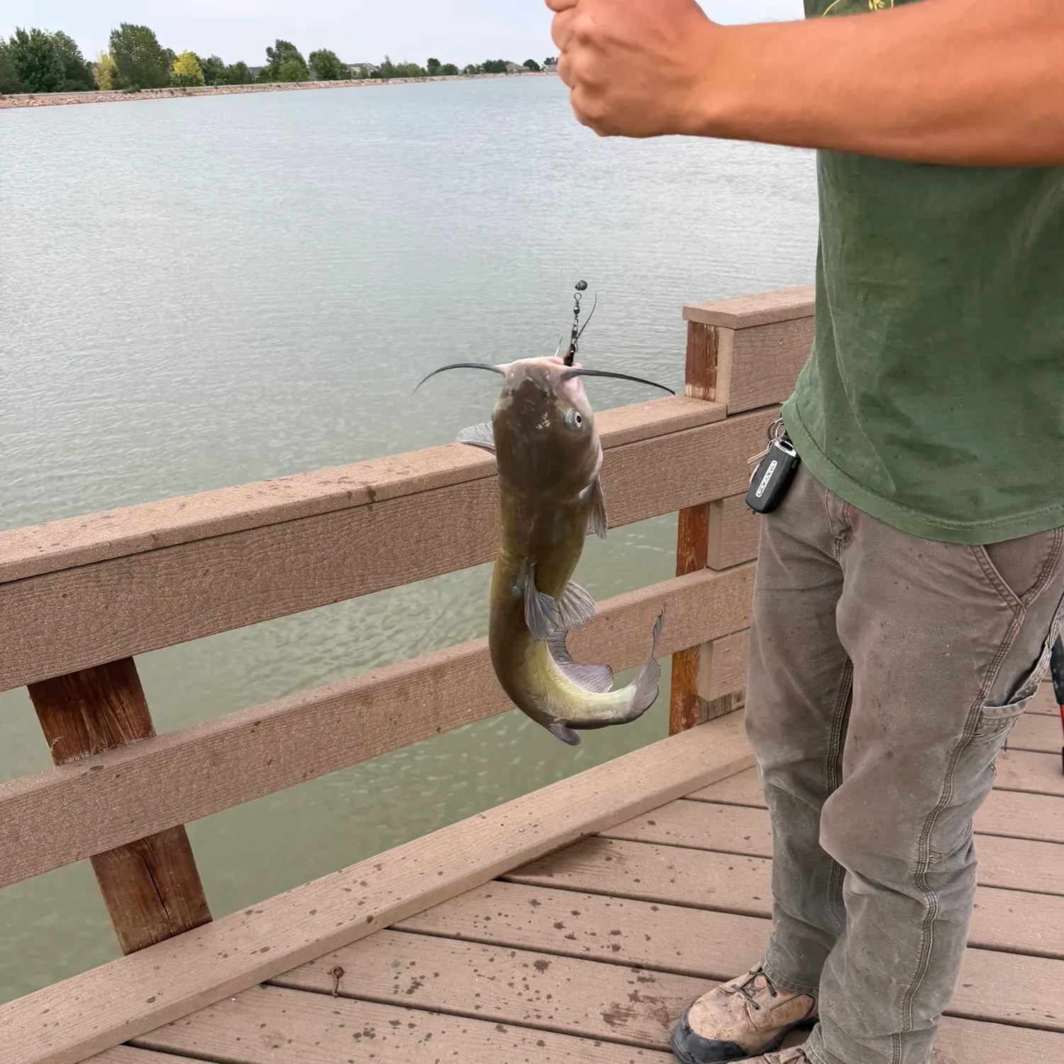catch