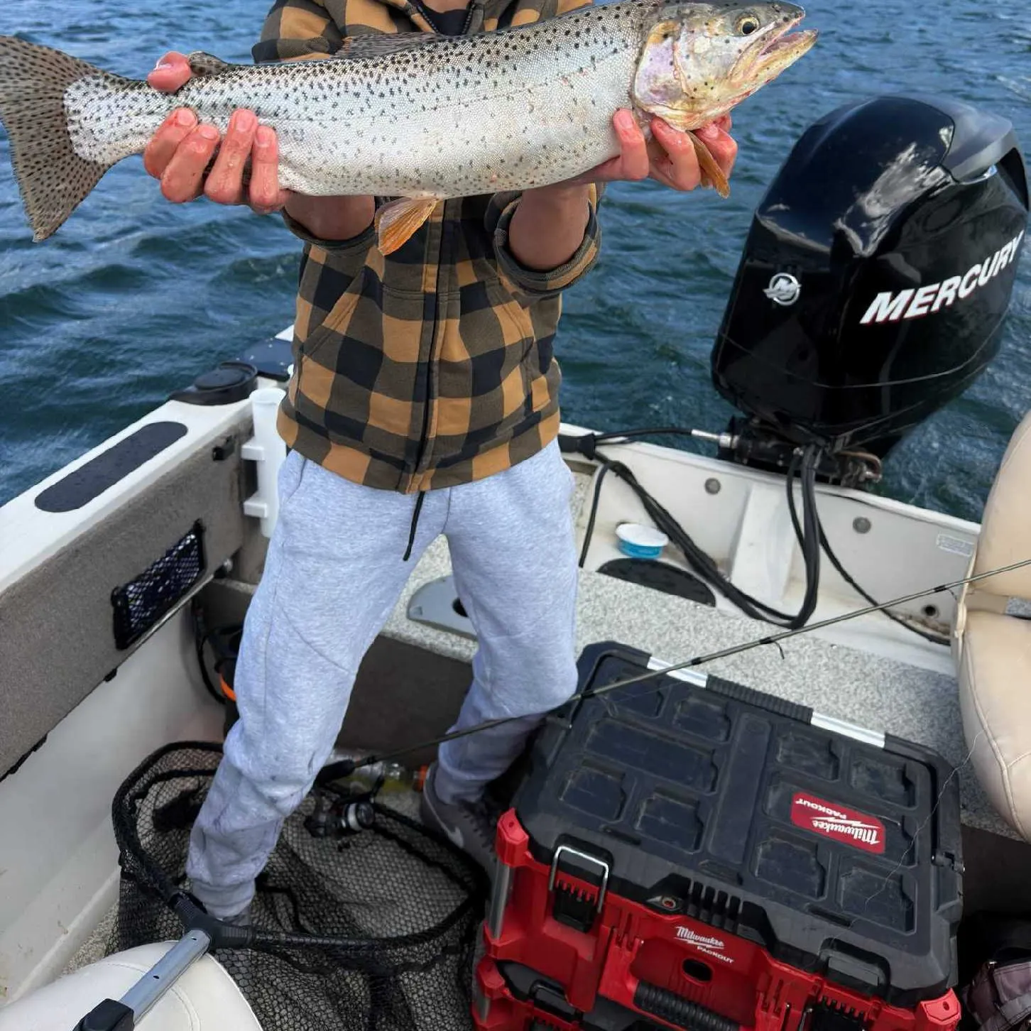Cutthroat trout caught on Fishbrain