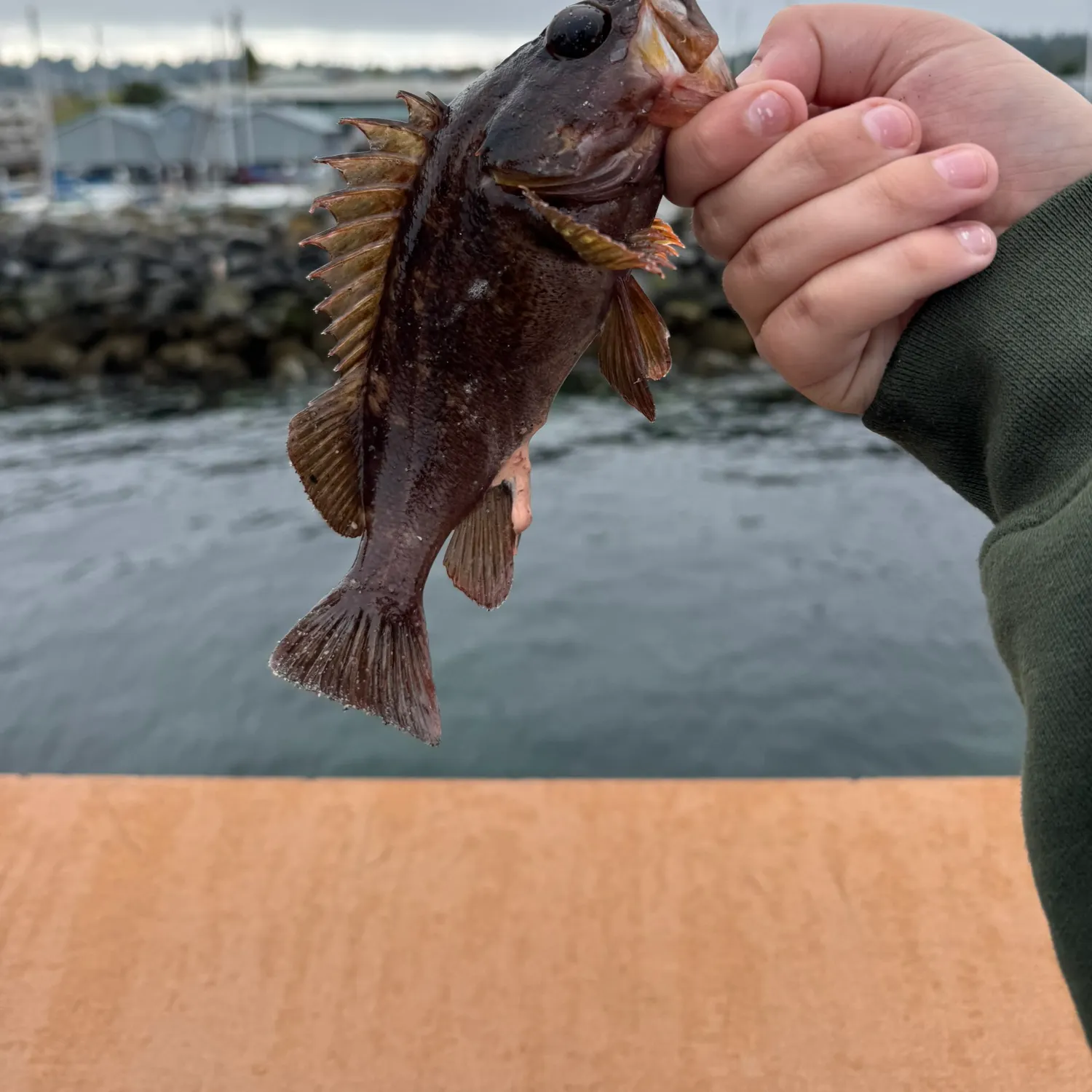 catch