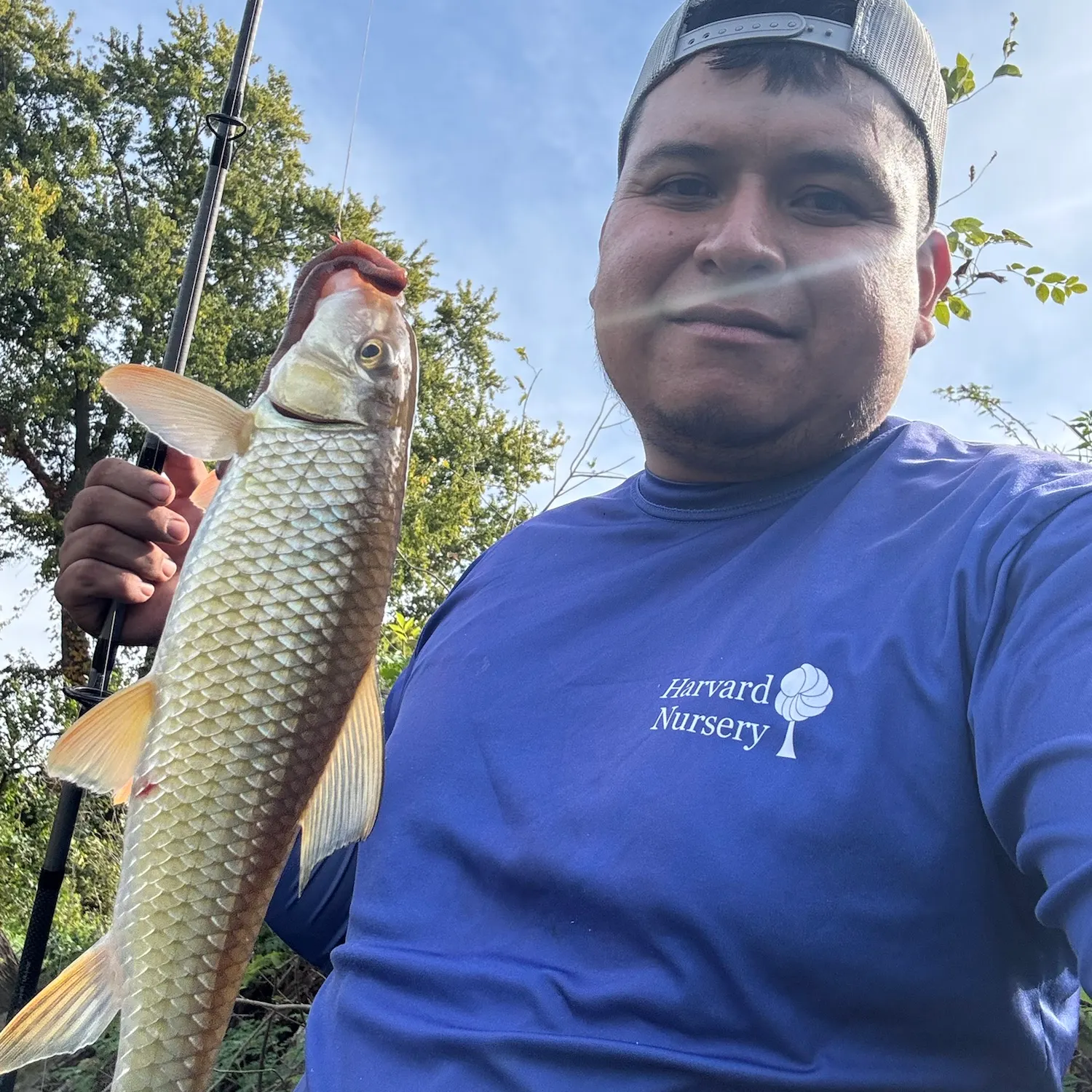 Silver redhorse caught on Fishbrain