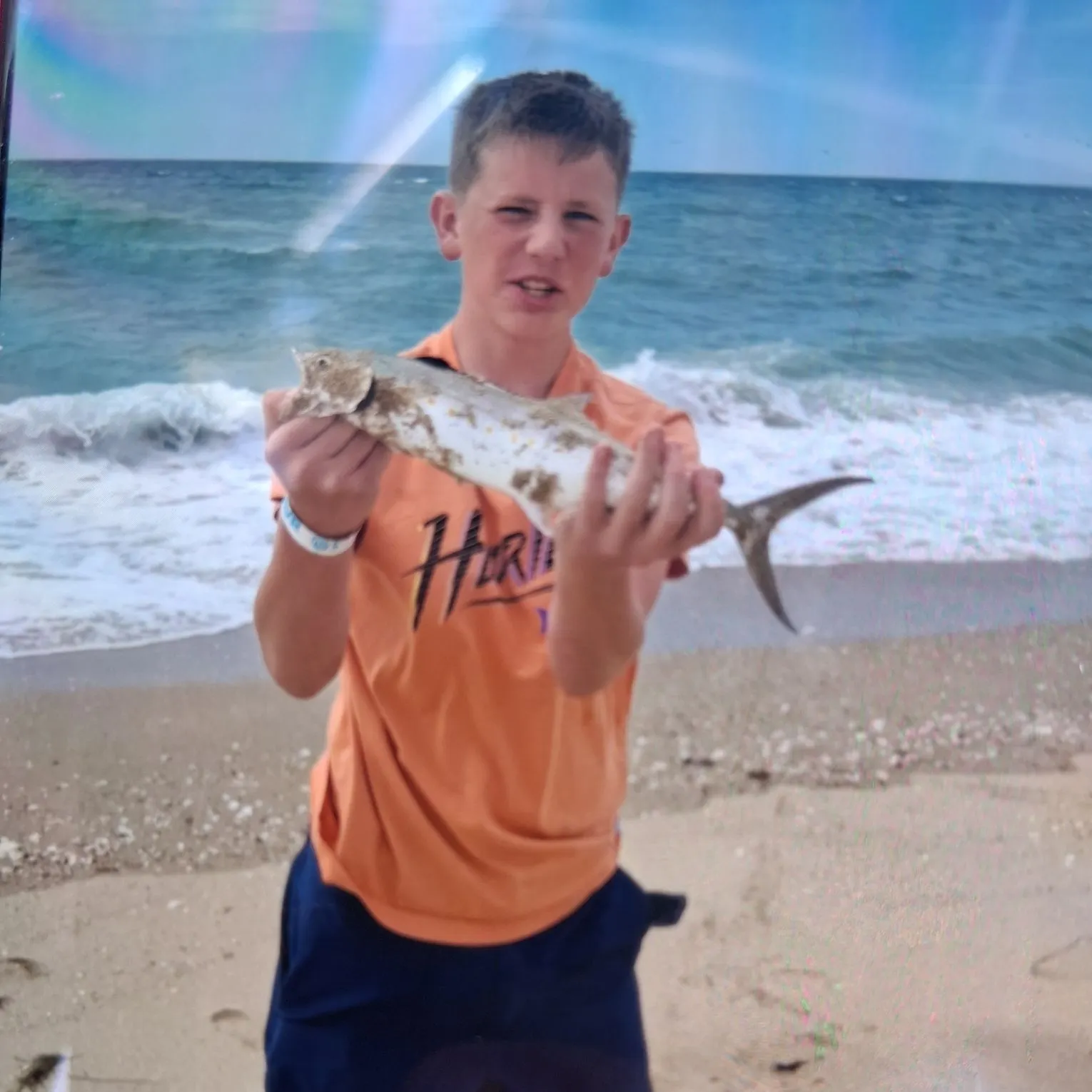 The most recent Cero mackerel catches on Fishbrain