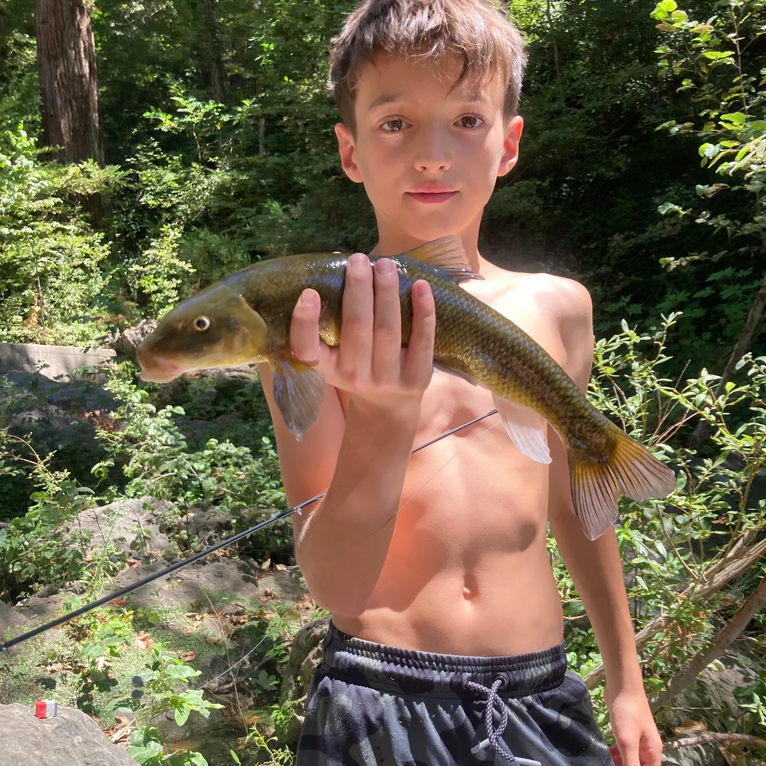Fish caught on Fishbrain