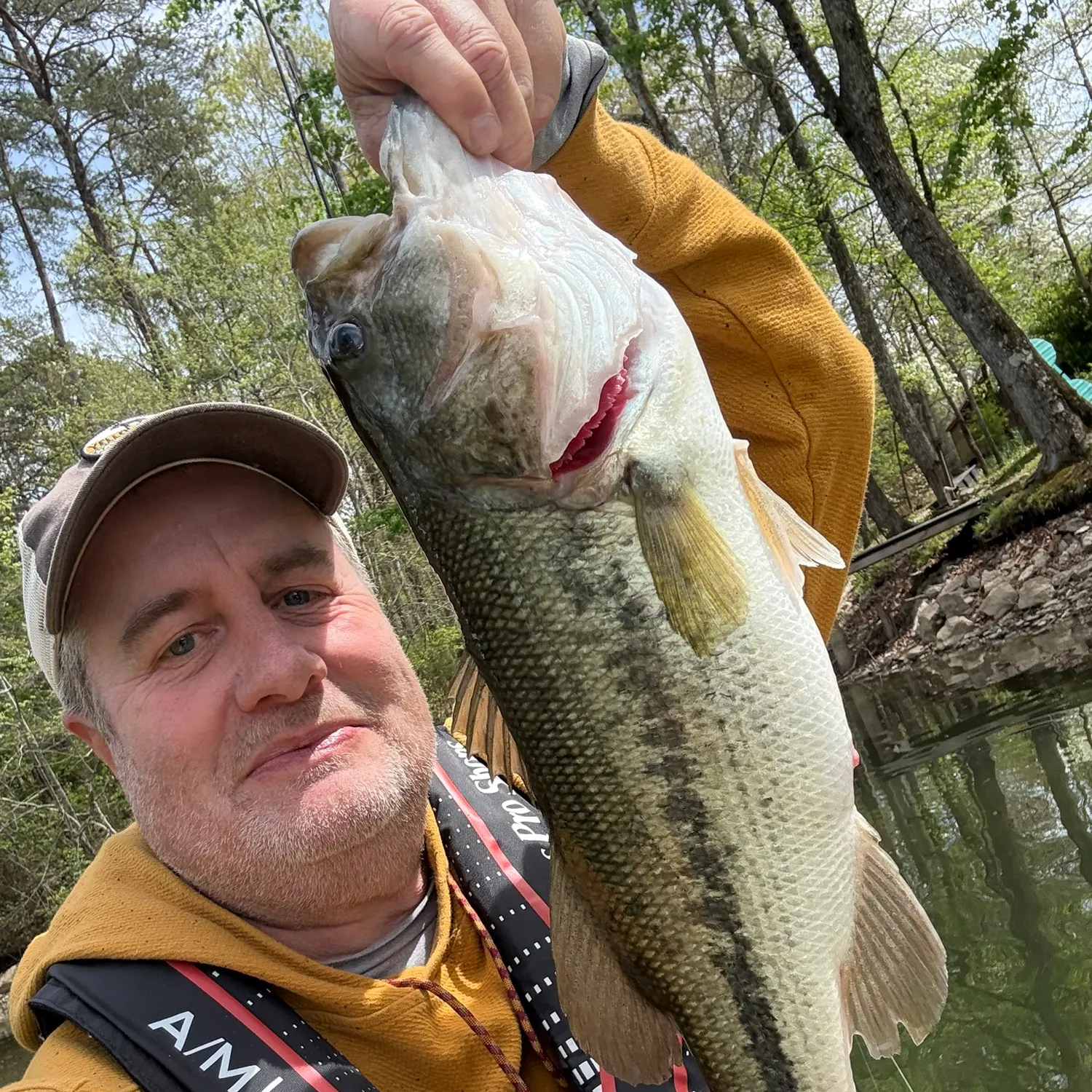 Largemouth bass caught on Fishbrain