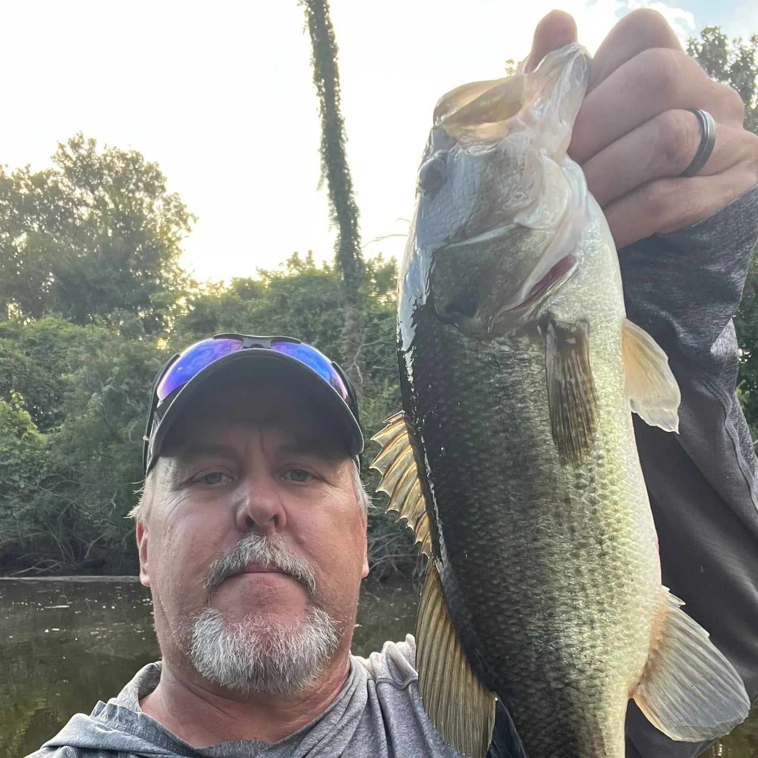 Largemouth bass caught on Fishbrain
