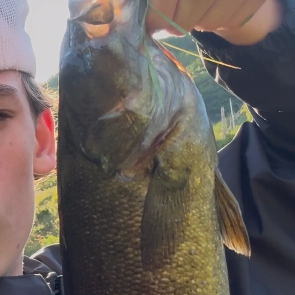 Smallmouth bass caught on Fishbrain