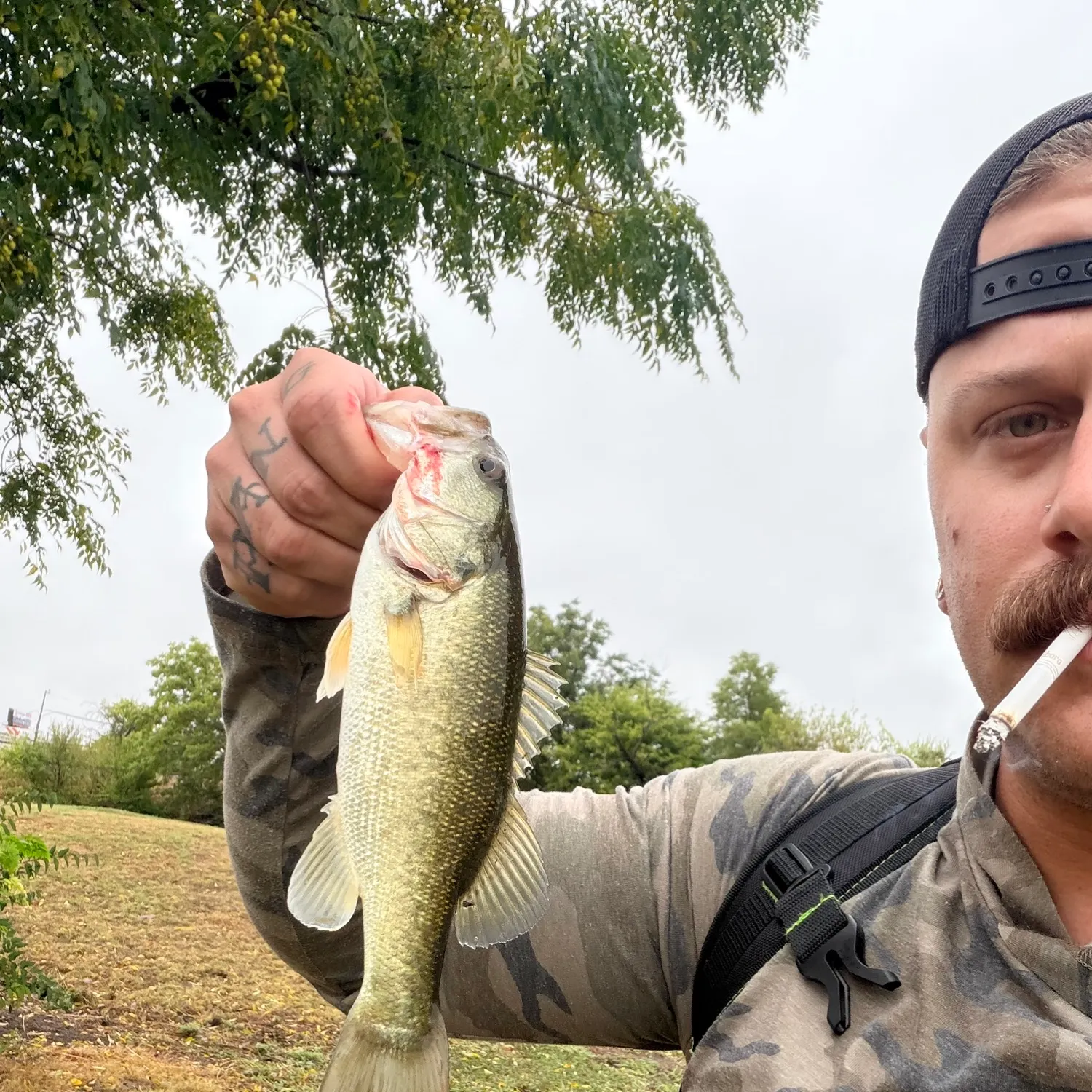 Largemouth bass caught on Fishbrain