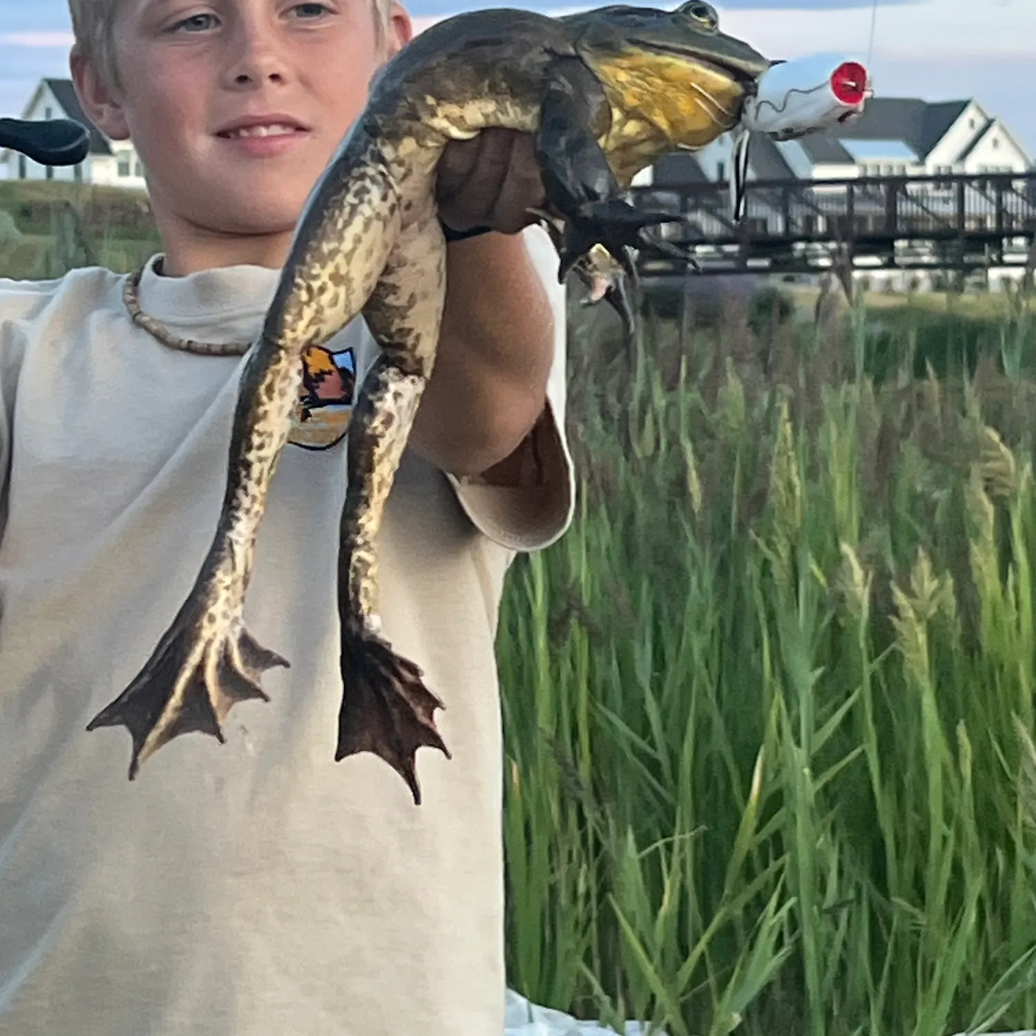 The most recent Warty frogfish catches on Fishbrain