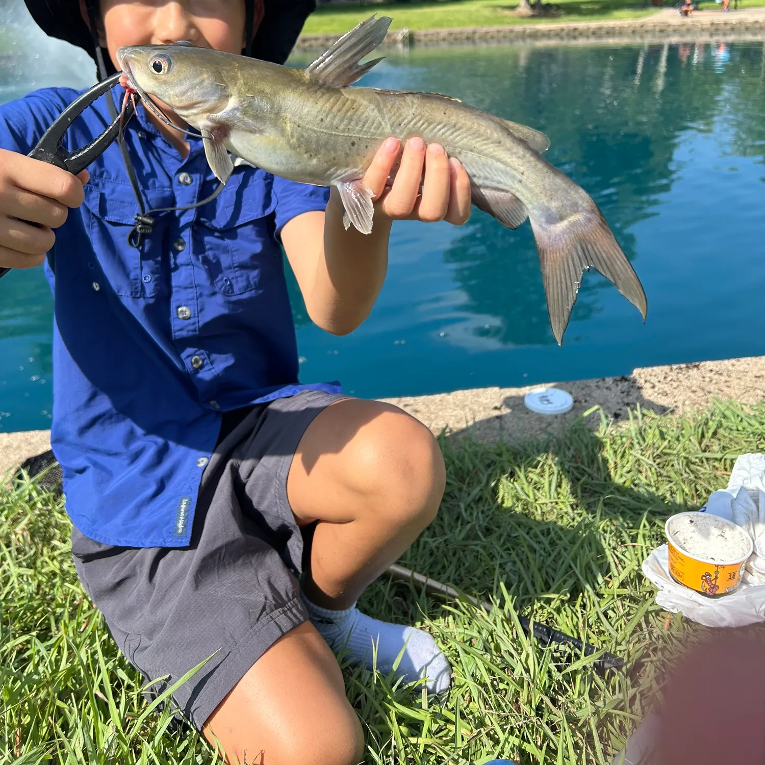 catch
