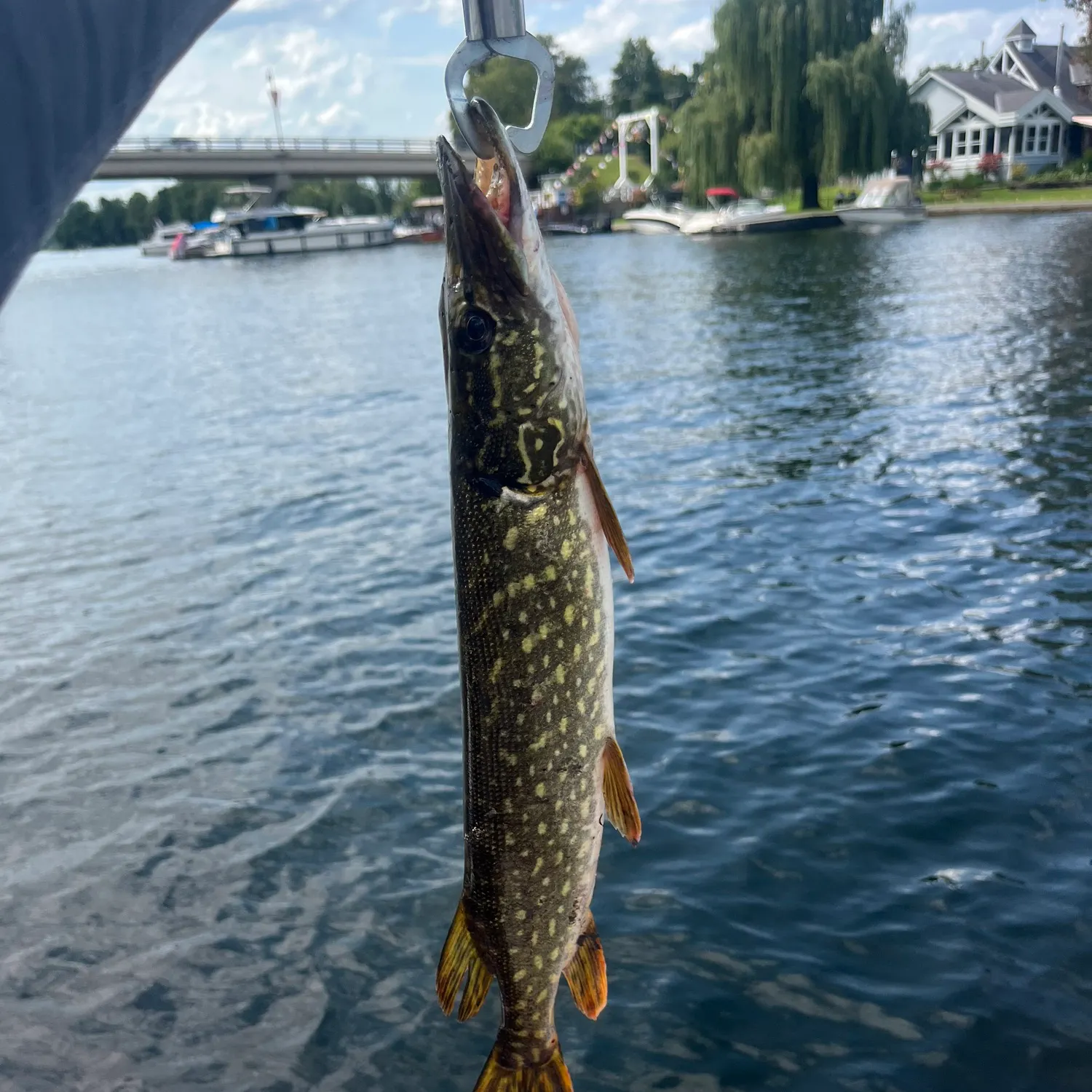 catch