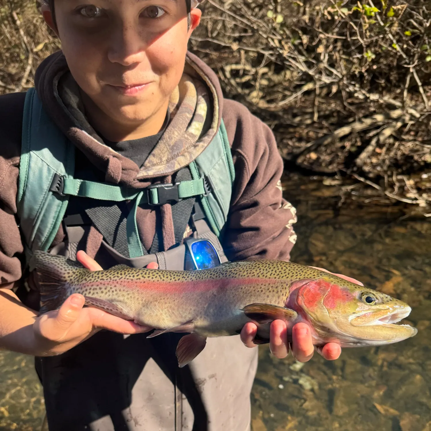 Rainbow trout caught on Fishbrain
