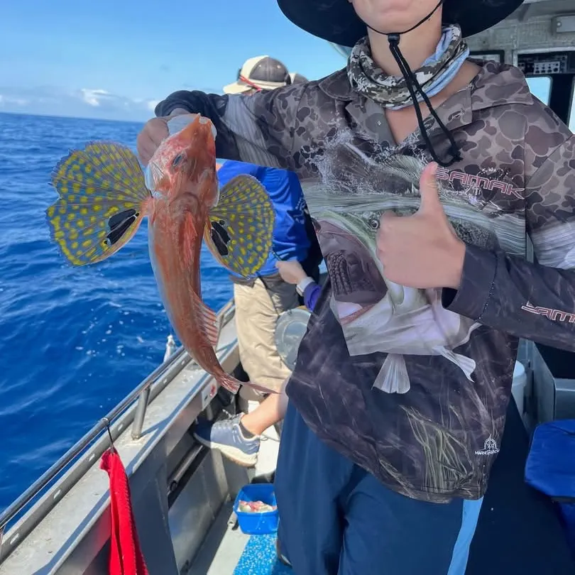 The most recent Tub gurnard catches on Fishbrain