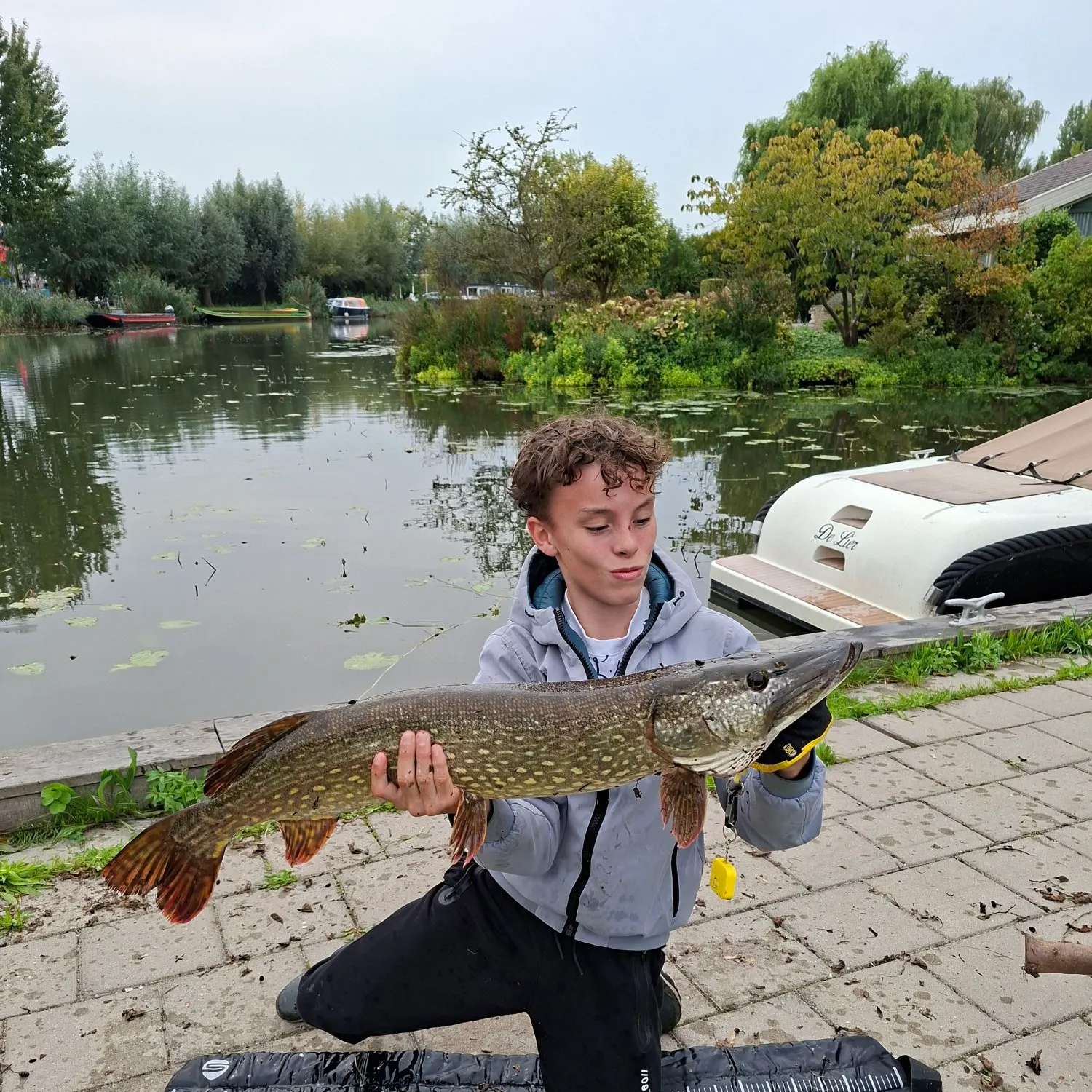 Northern pike caught on Fishbrain