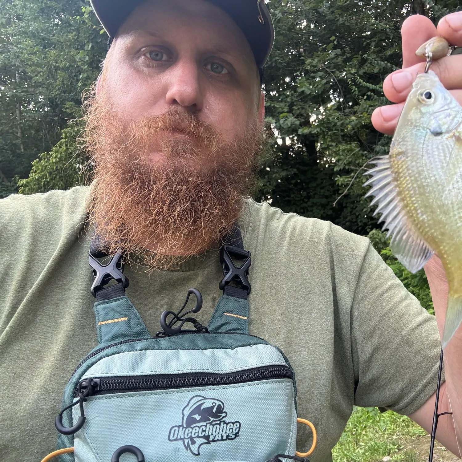 Bluegill caught on Fishbrain