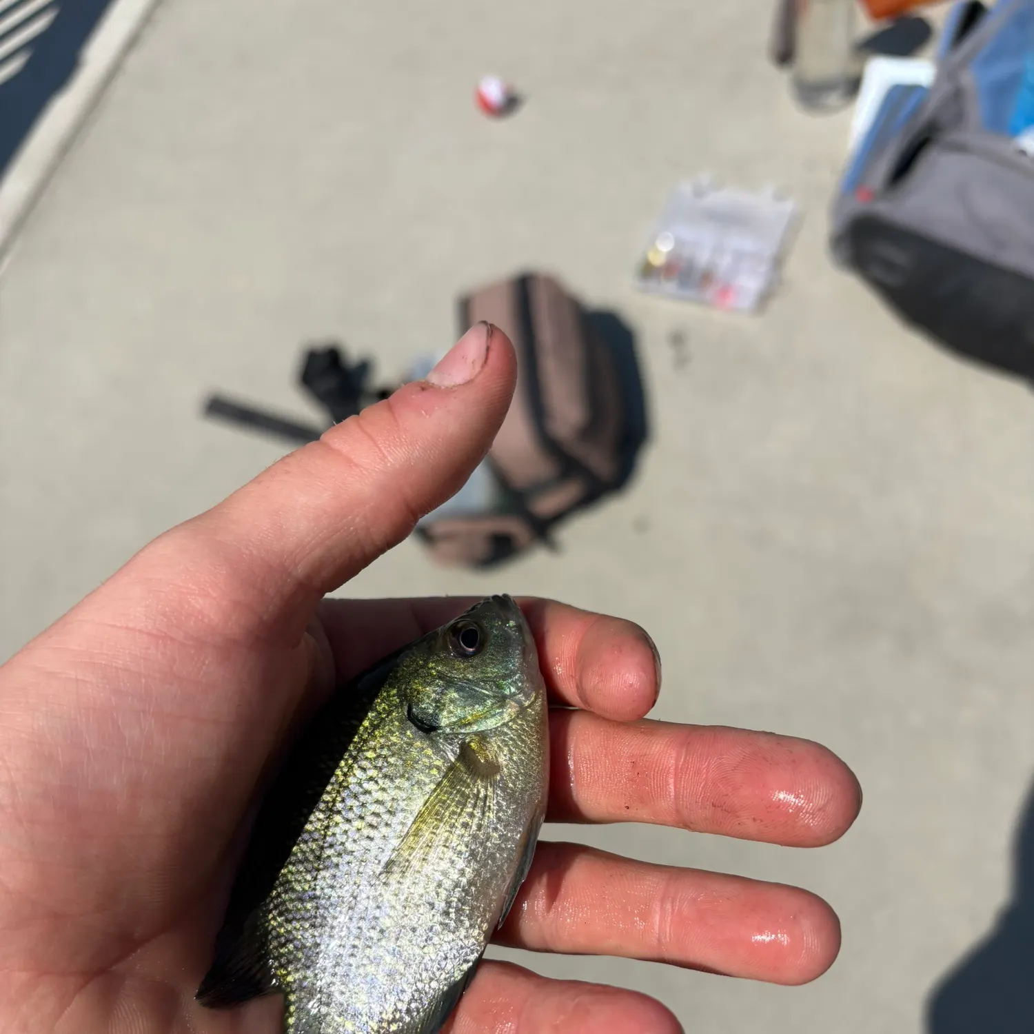 catch