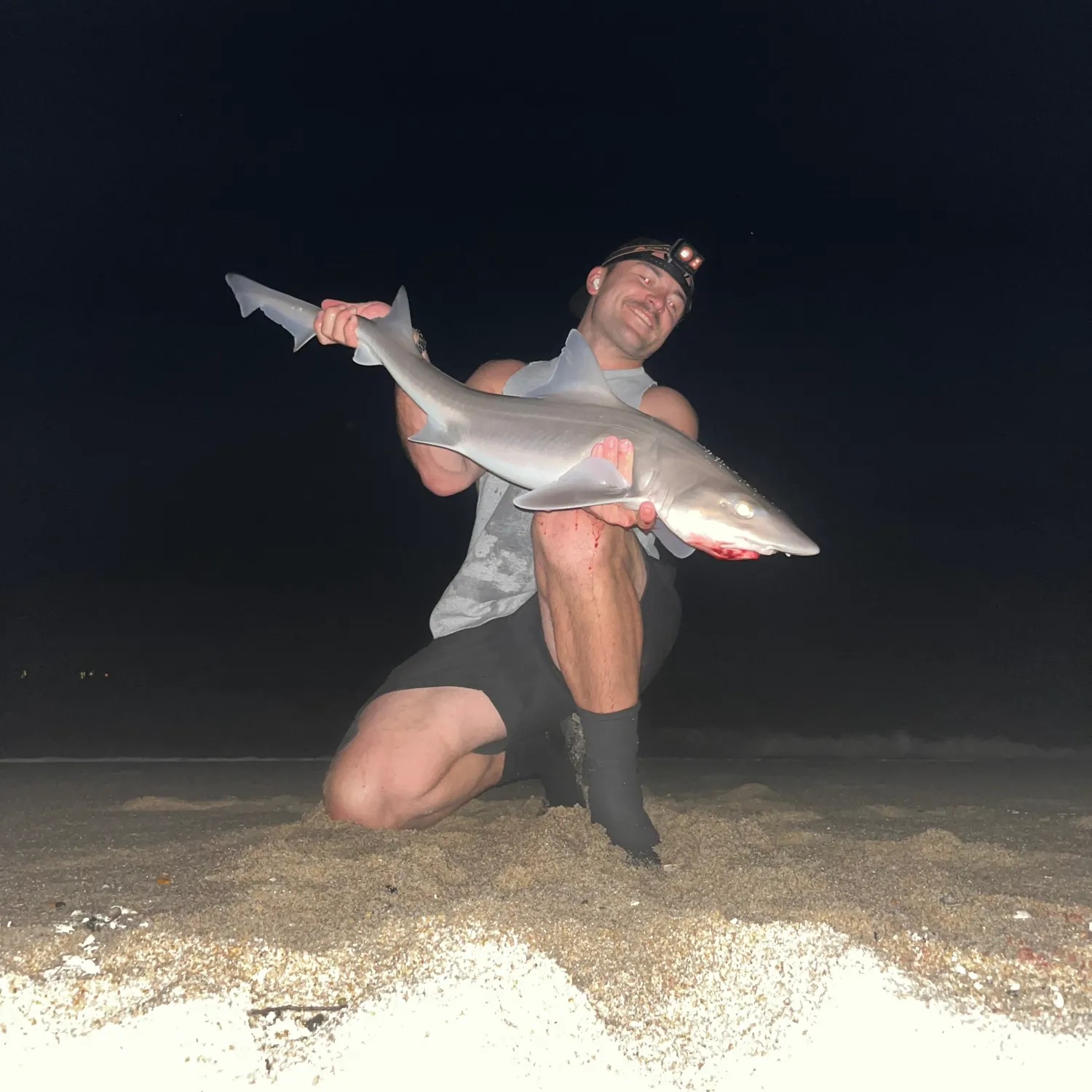 The most recent Dusky smooth-hound catches on Fishbrain