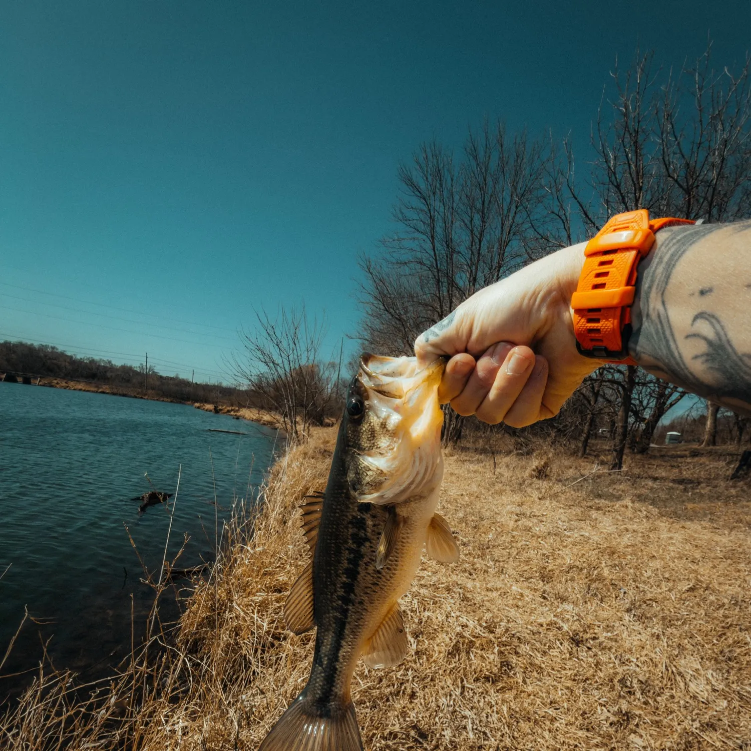 catch