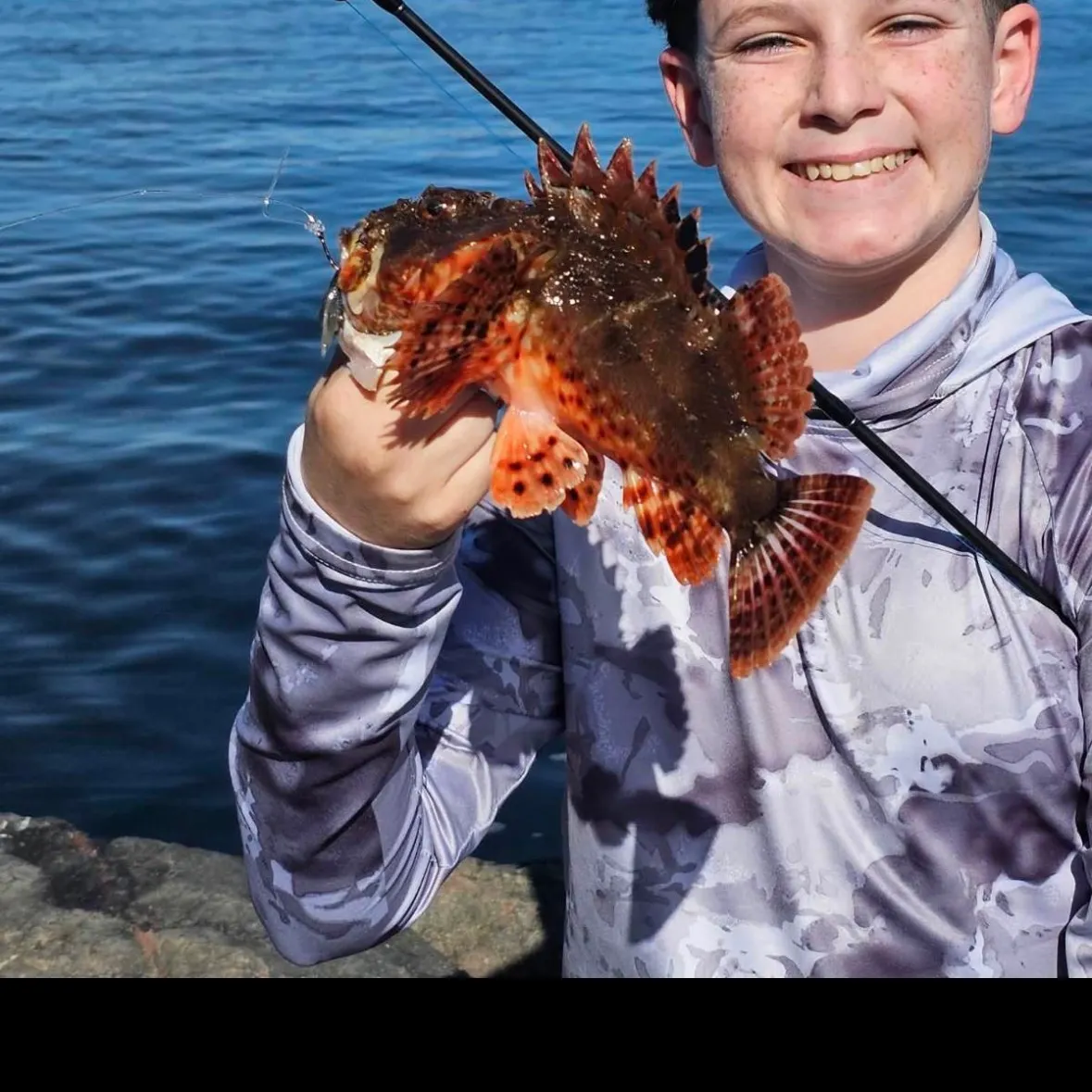 The most recent Small red scorpionfish catches on Fishbrain