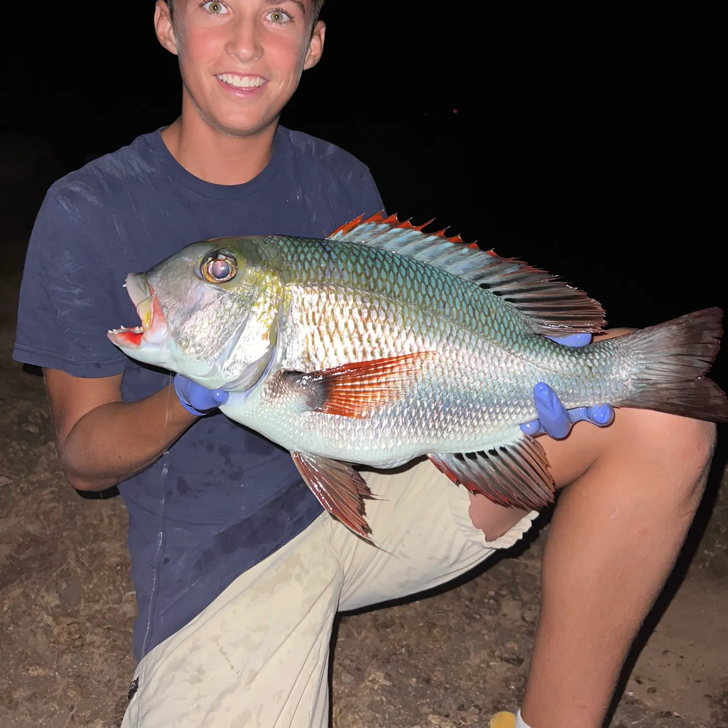 The most recent Humpnose big-eye bream catches on Fishbrain