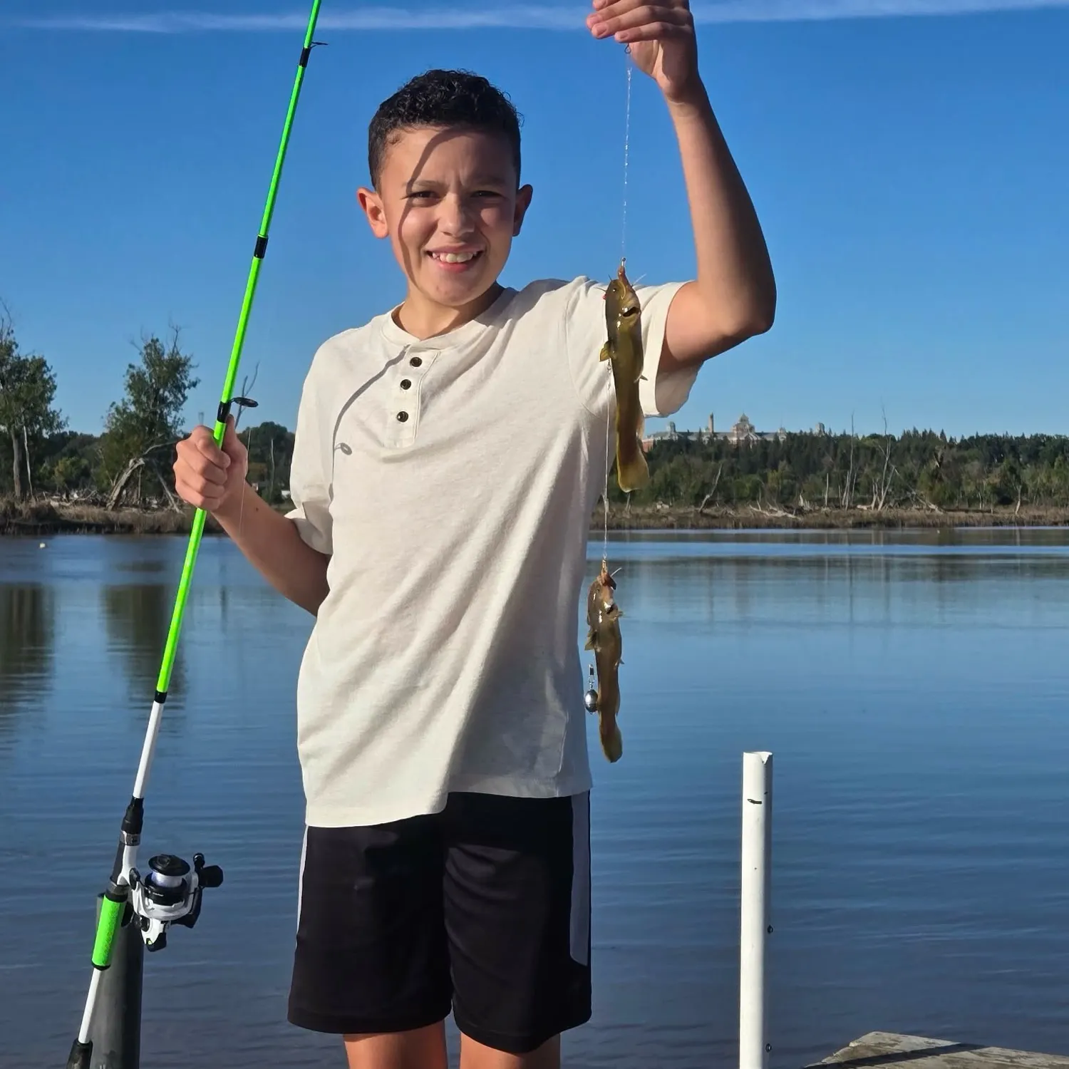 The most recent Stonecat catches on Fishbrain