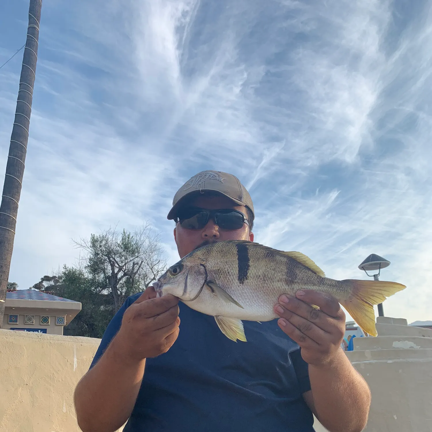 The most recent Sargo catches on Fishbrain