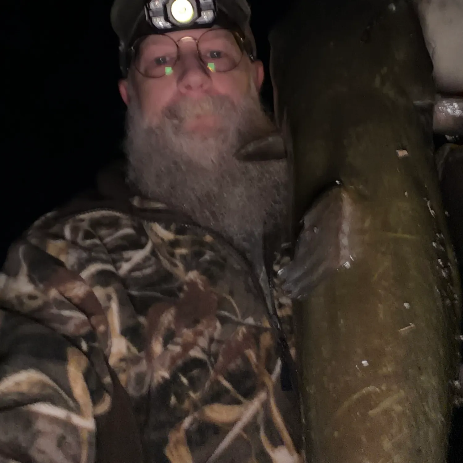 Channel catfish caught on Fishbrain