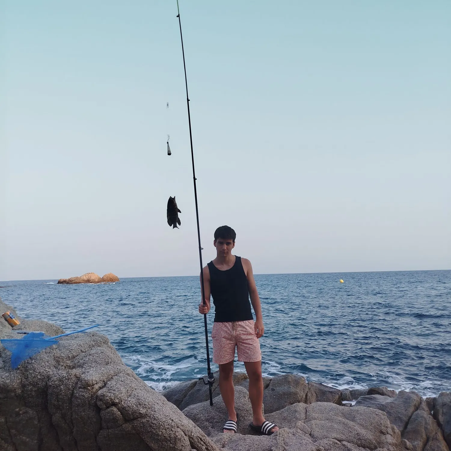 The most recent Gulf grouper catches on Fishbrain