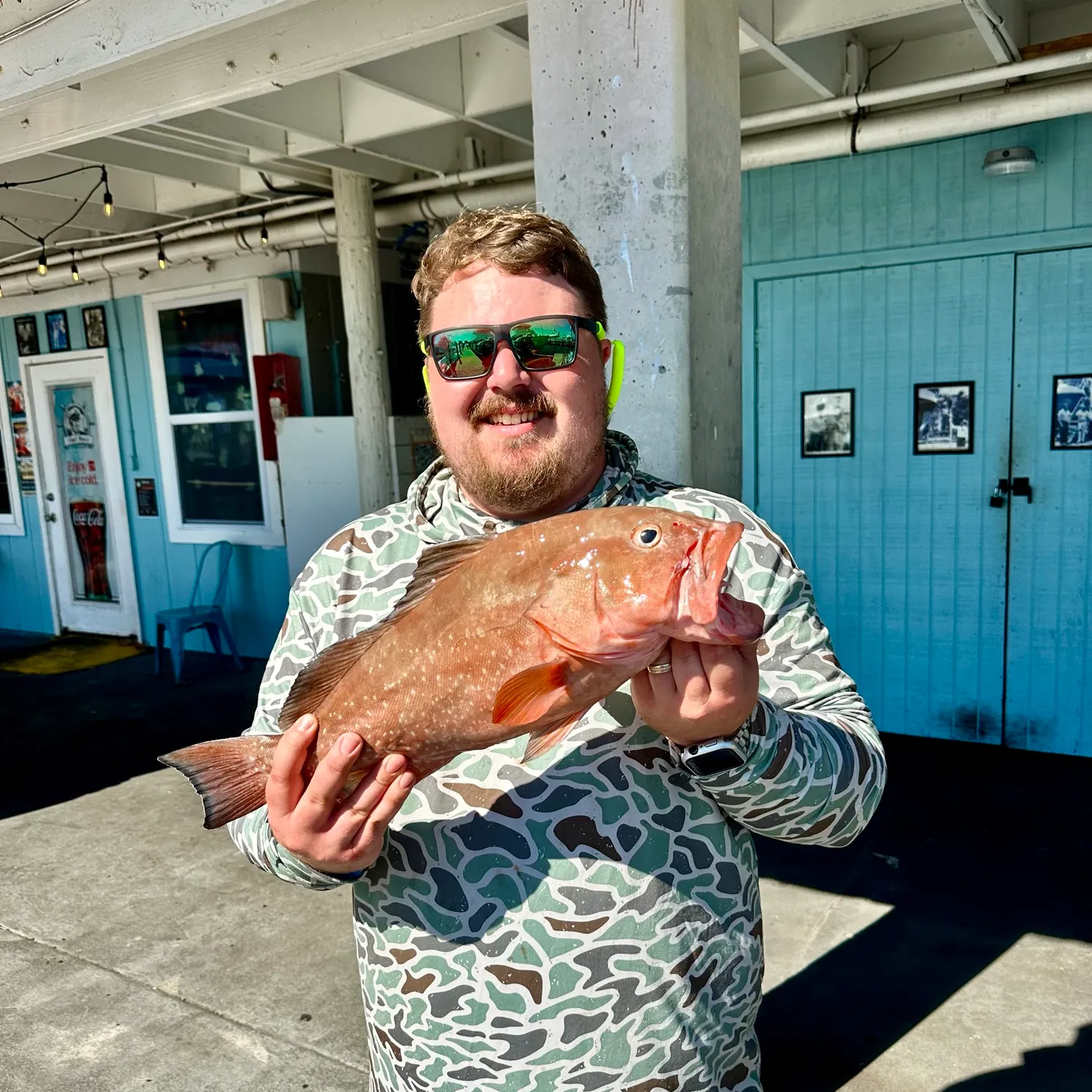 The most recent Red grouper catches on Fishbrain