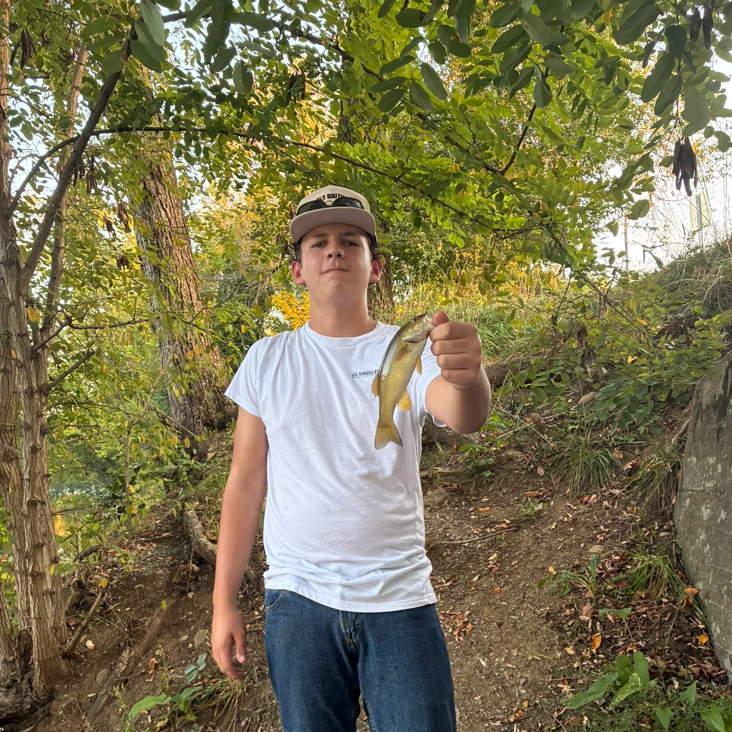 Smallmouth bass caught on Fishbrain