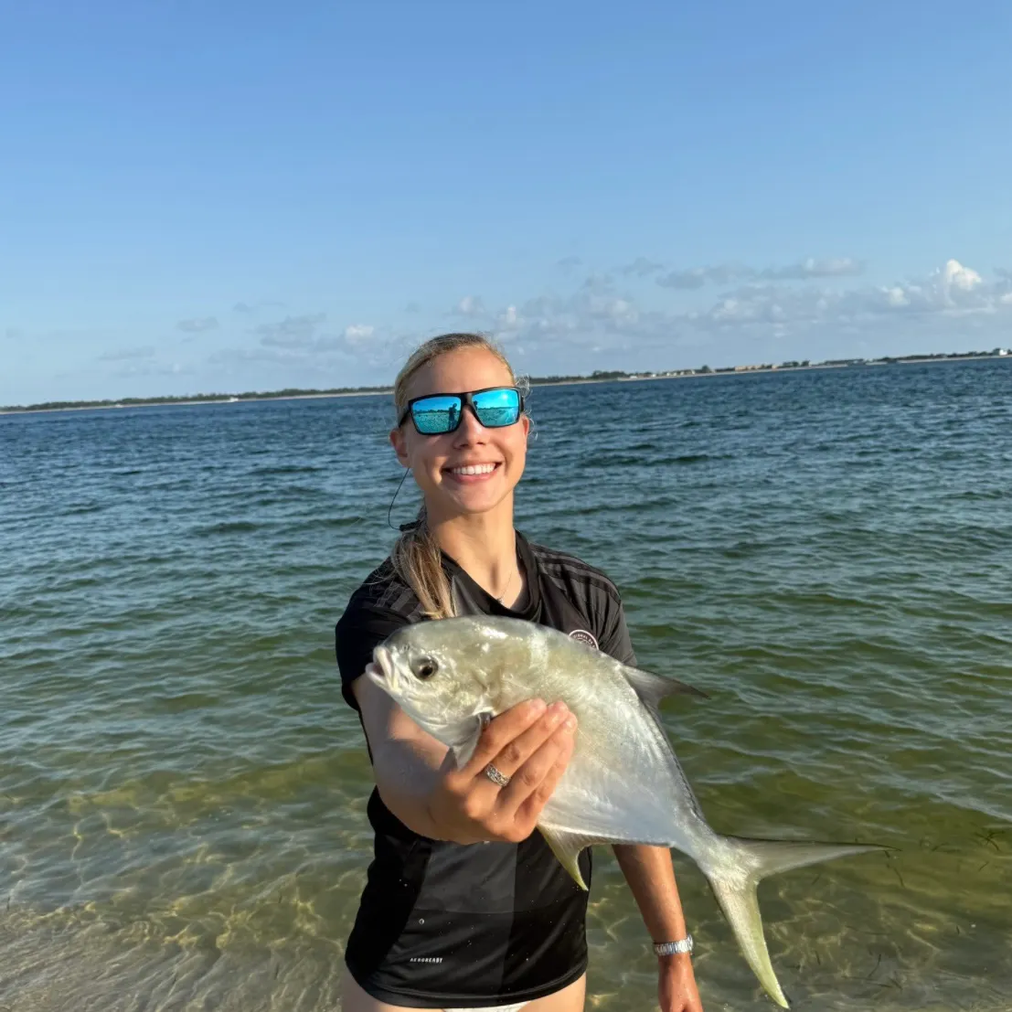 The most recent Florida pompano catches on Fishbrain