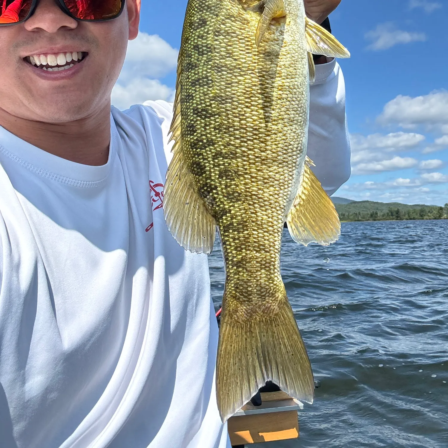 Smallmouth bass caught on Fishbrain