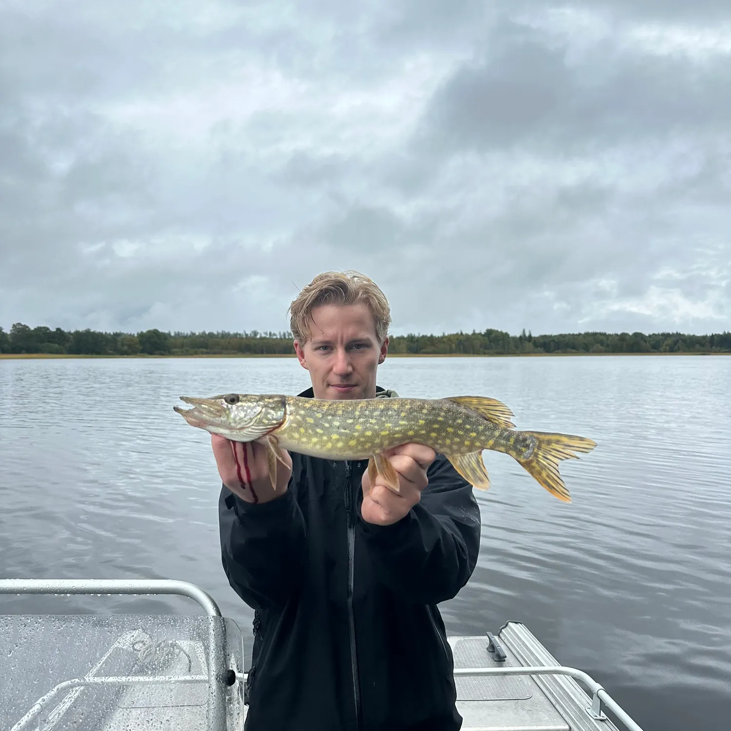 Northern pike caught on Fishbrain