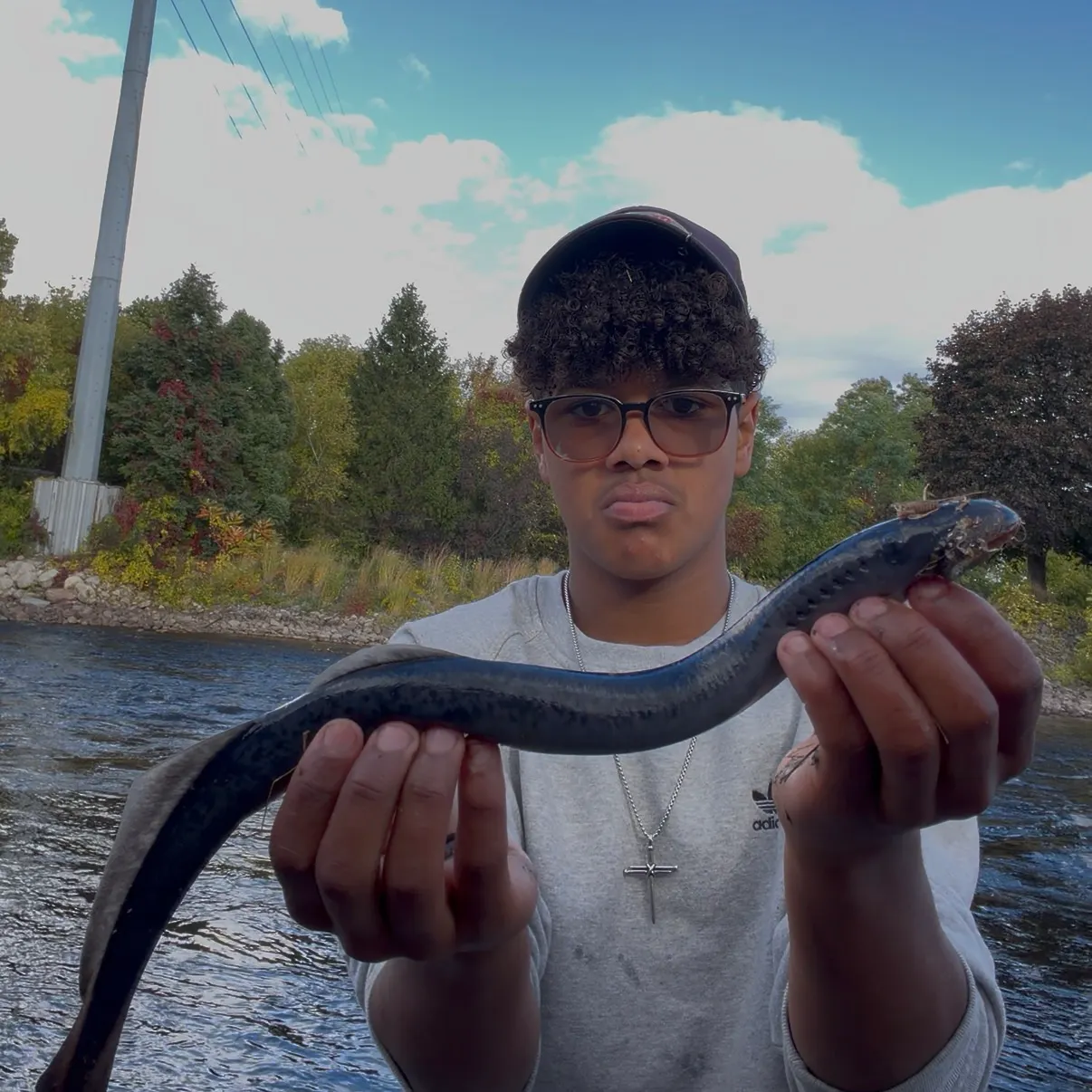 The most recent Sea lamprey catches on Fishbrain