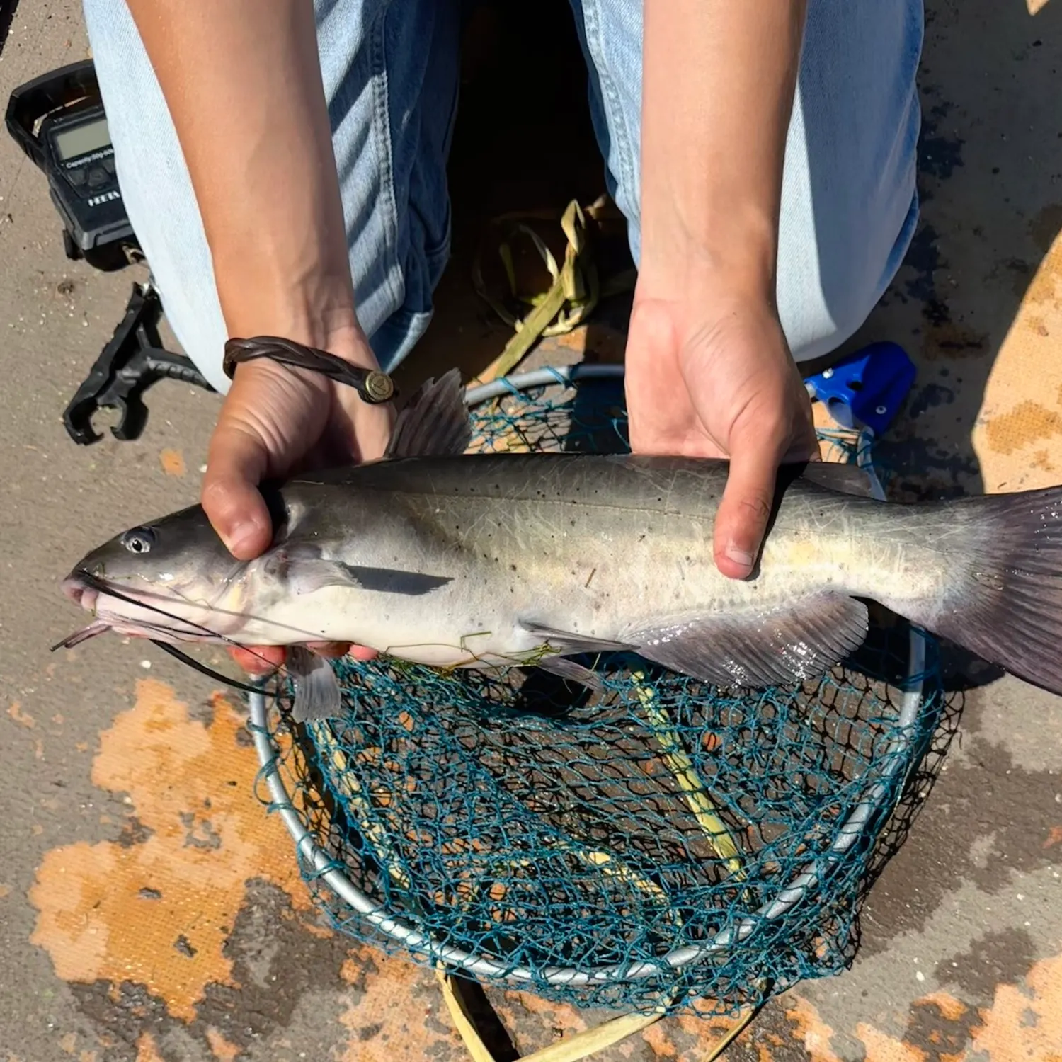 catch