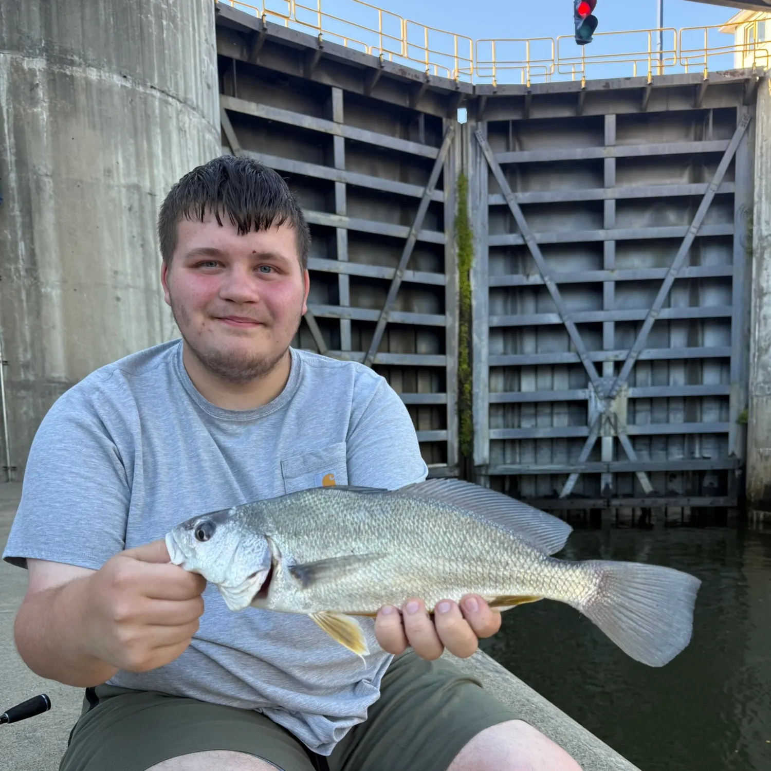 Freshwater drum caught on Fishbrain