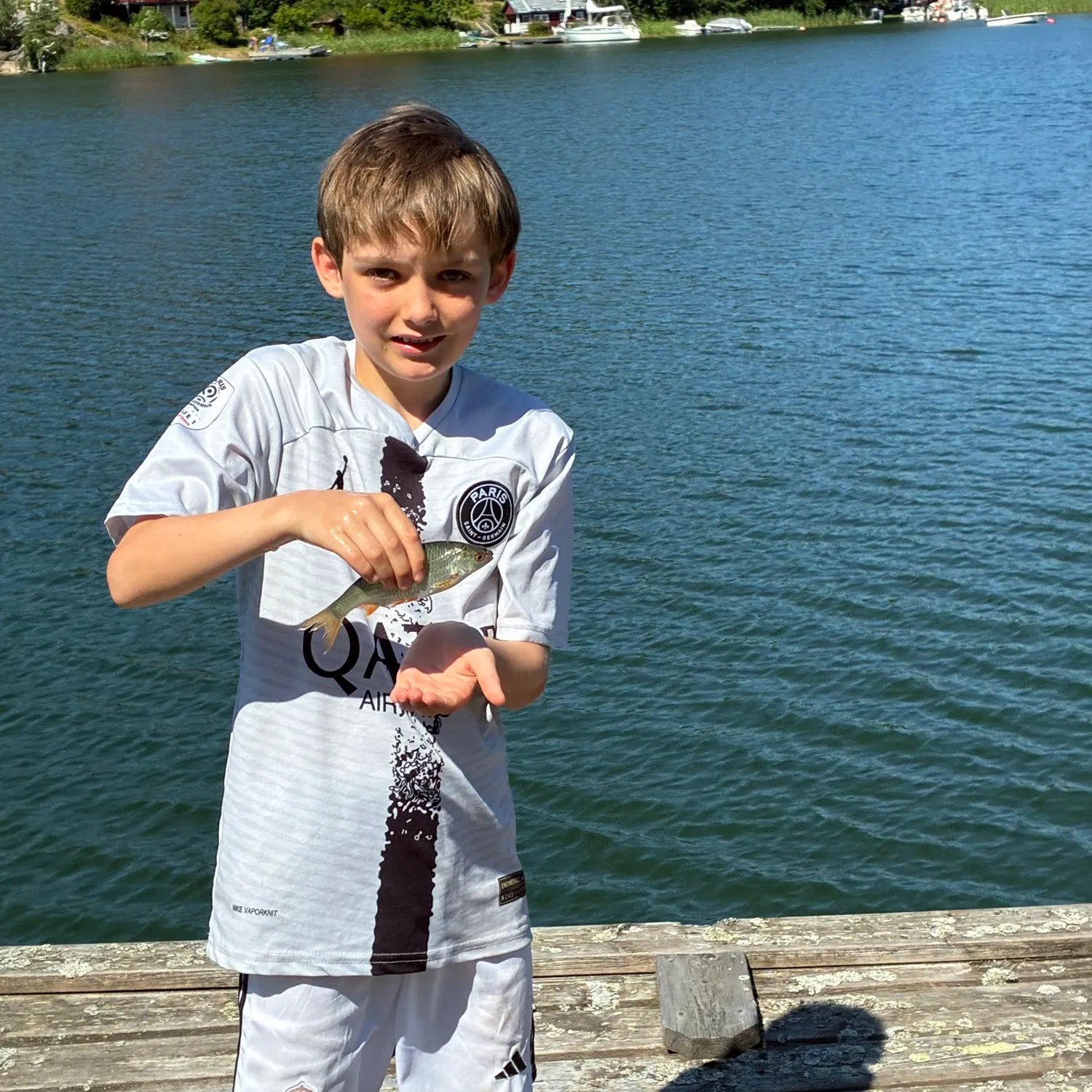 European perch caught on Fishbrain